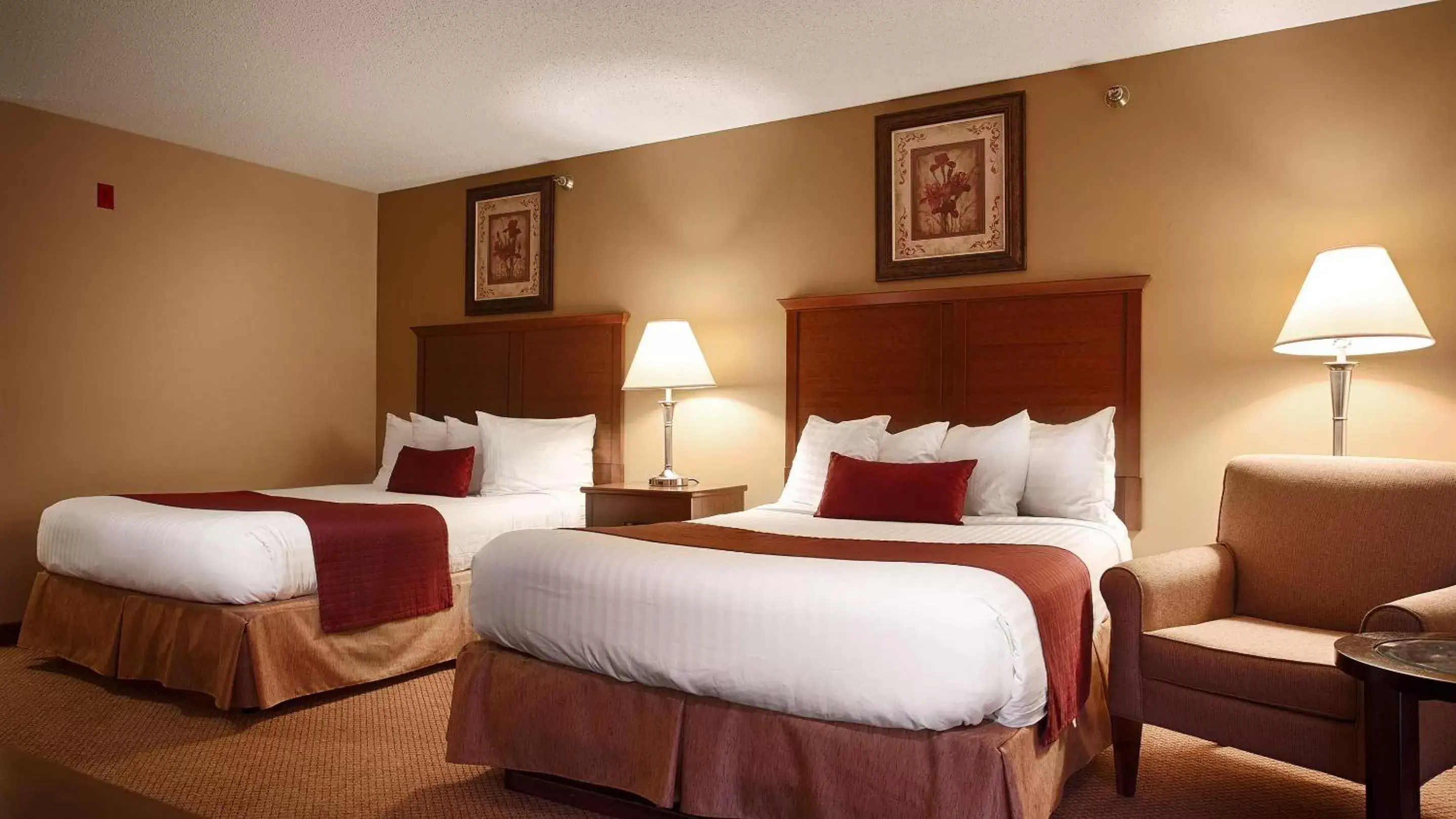 Bed in Best Western Plus Albert Lea I-90/I-35 Hotel