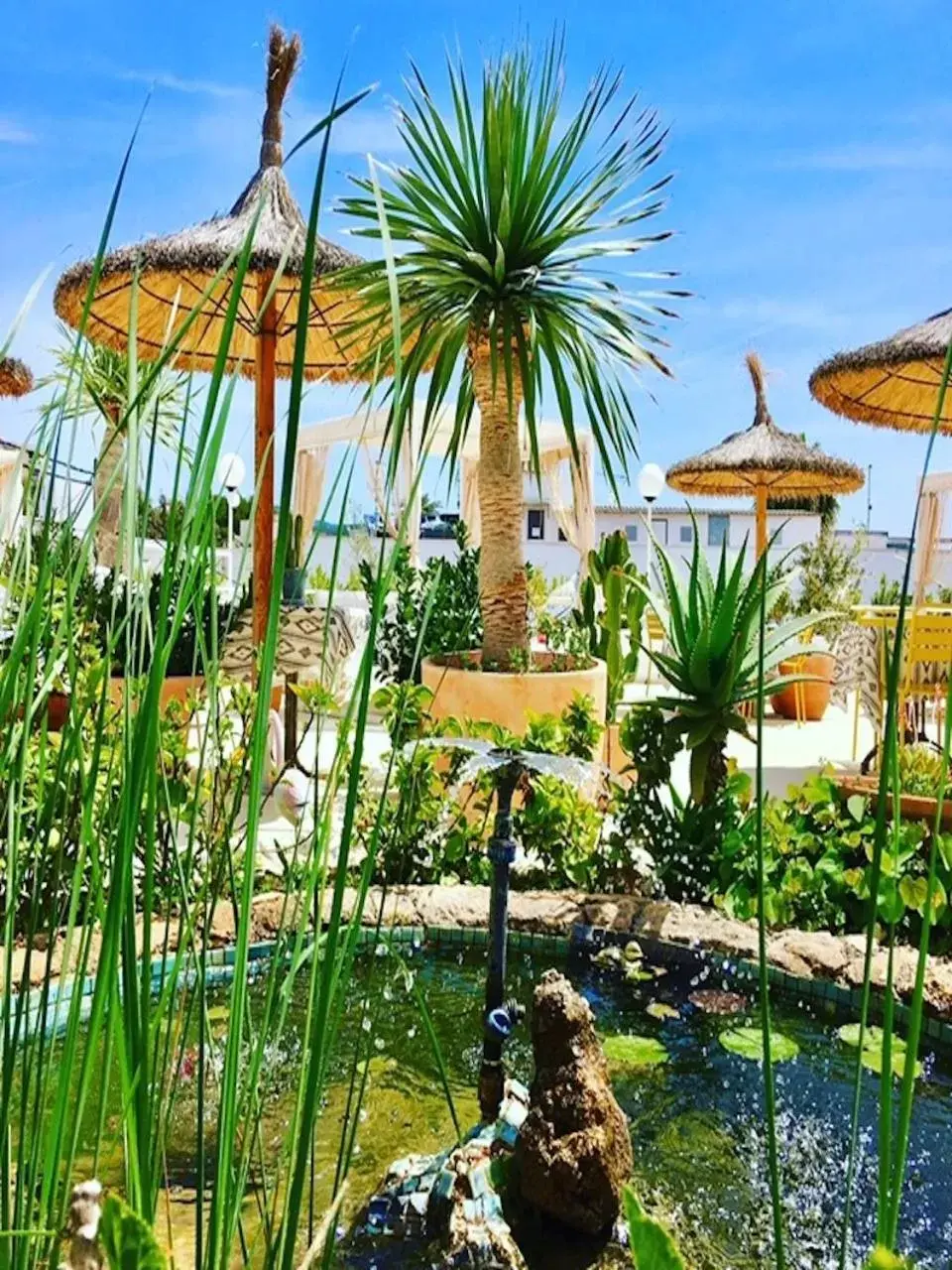 Garden in Bella Colina I Vintage Hotel 1953