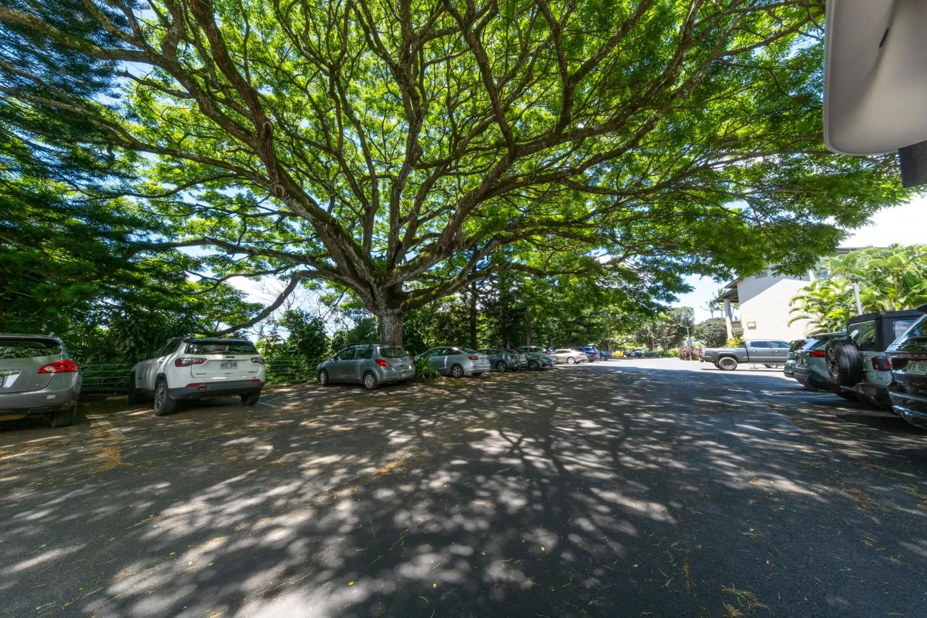 Parking in Hanalei Bay Resort