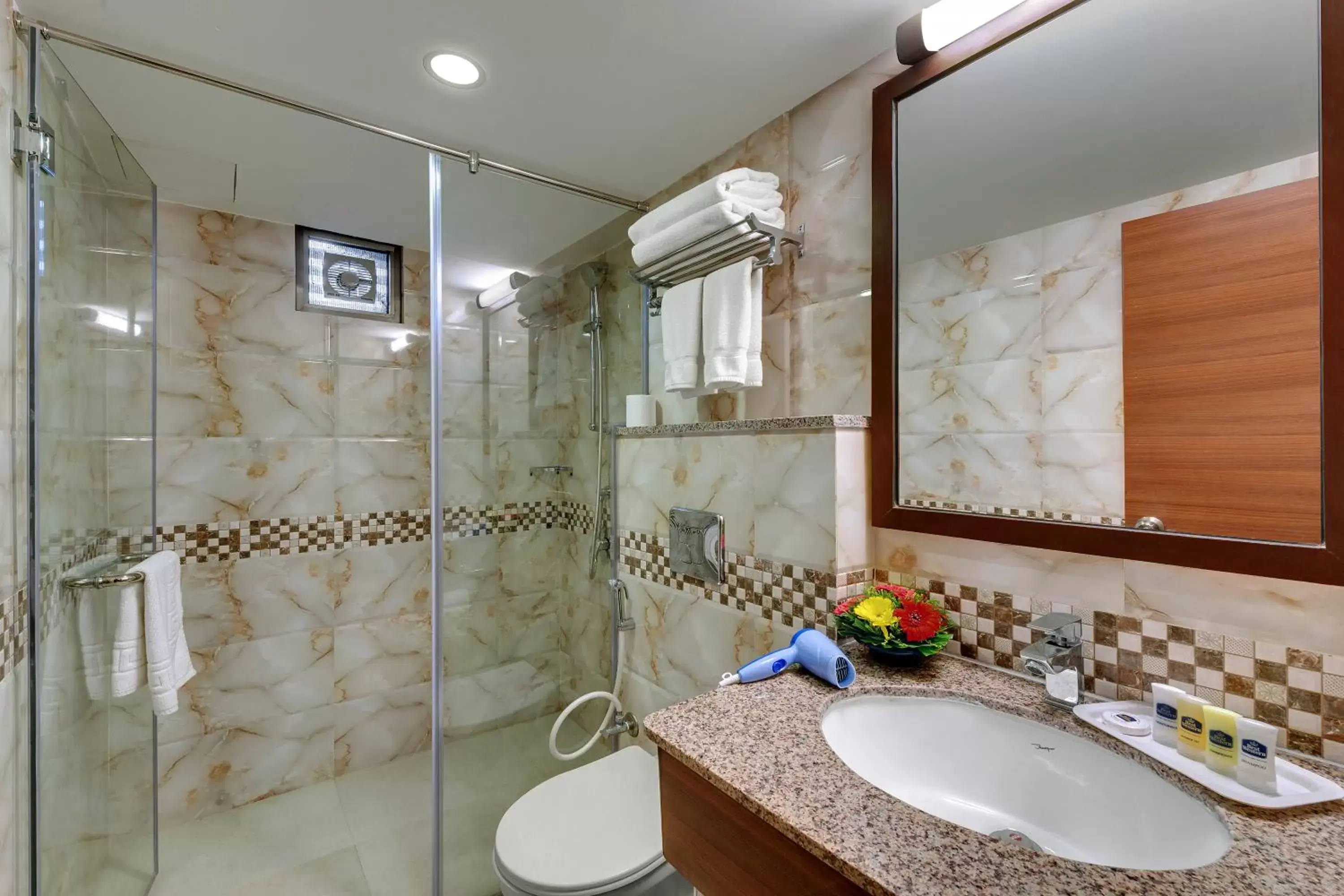 Shower, Bathroom in Best Western Alkapuri