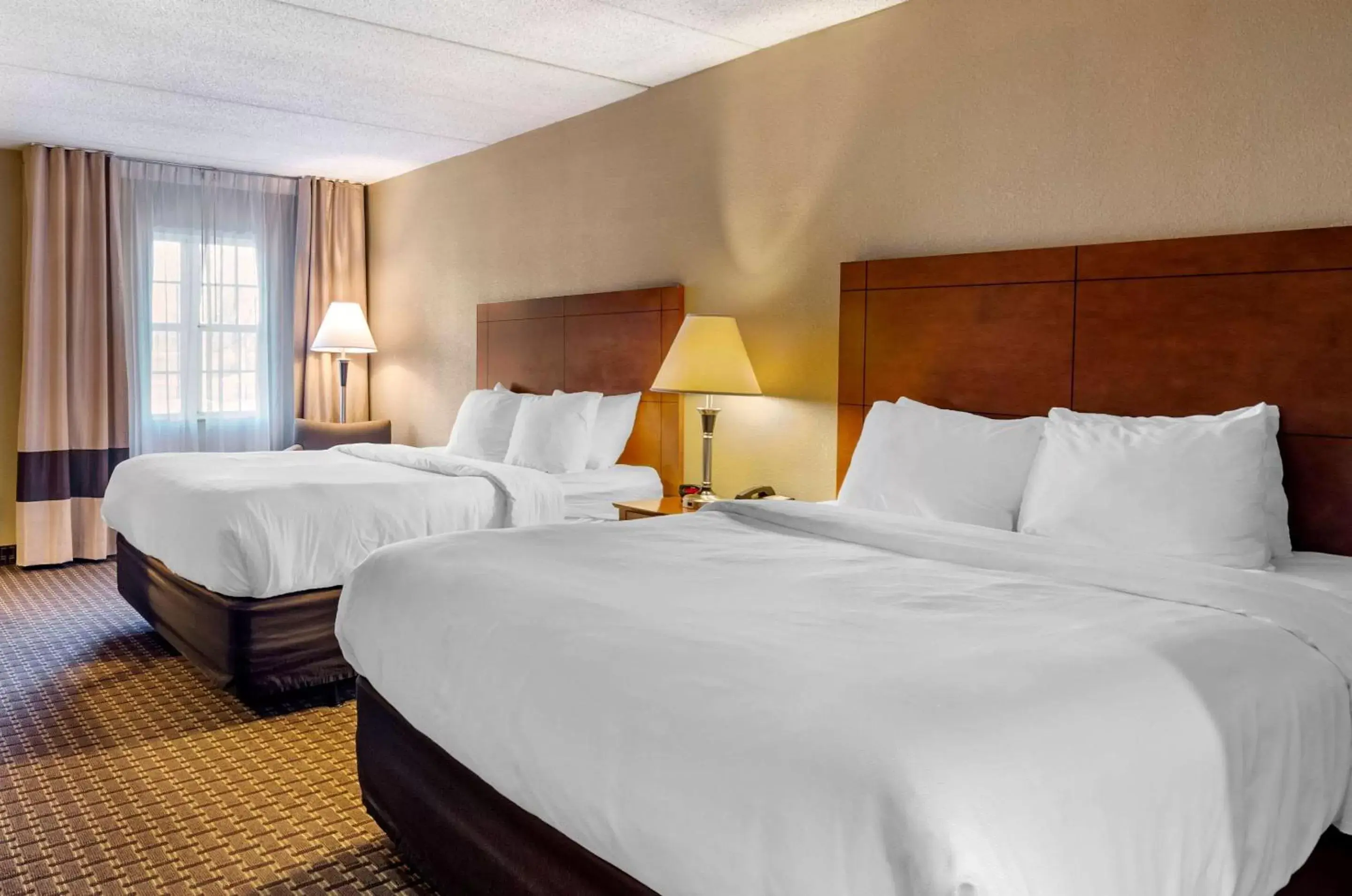 Photo of the whole room, Bed in Comfort Inn & Suites Raphine - Lexington near I-81 and I-64