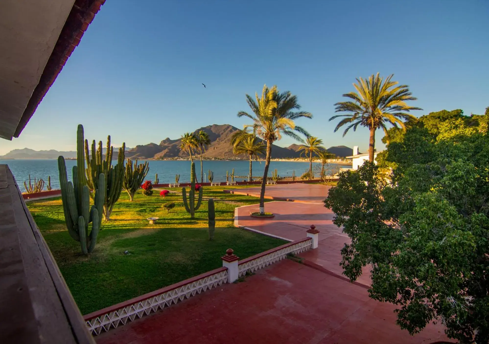 Garden view in Hotel Playa de Cortes