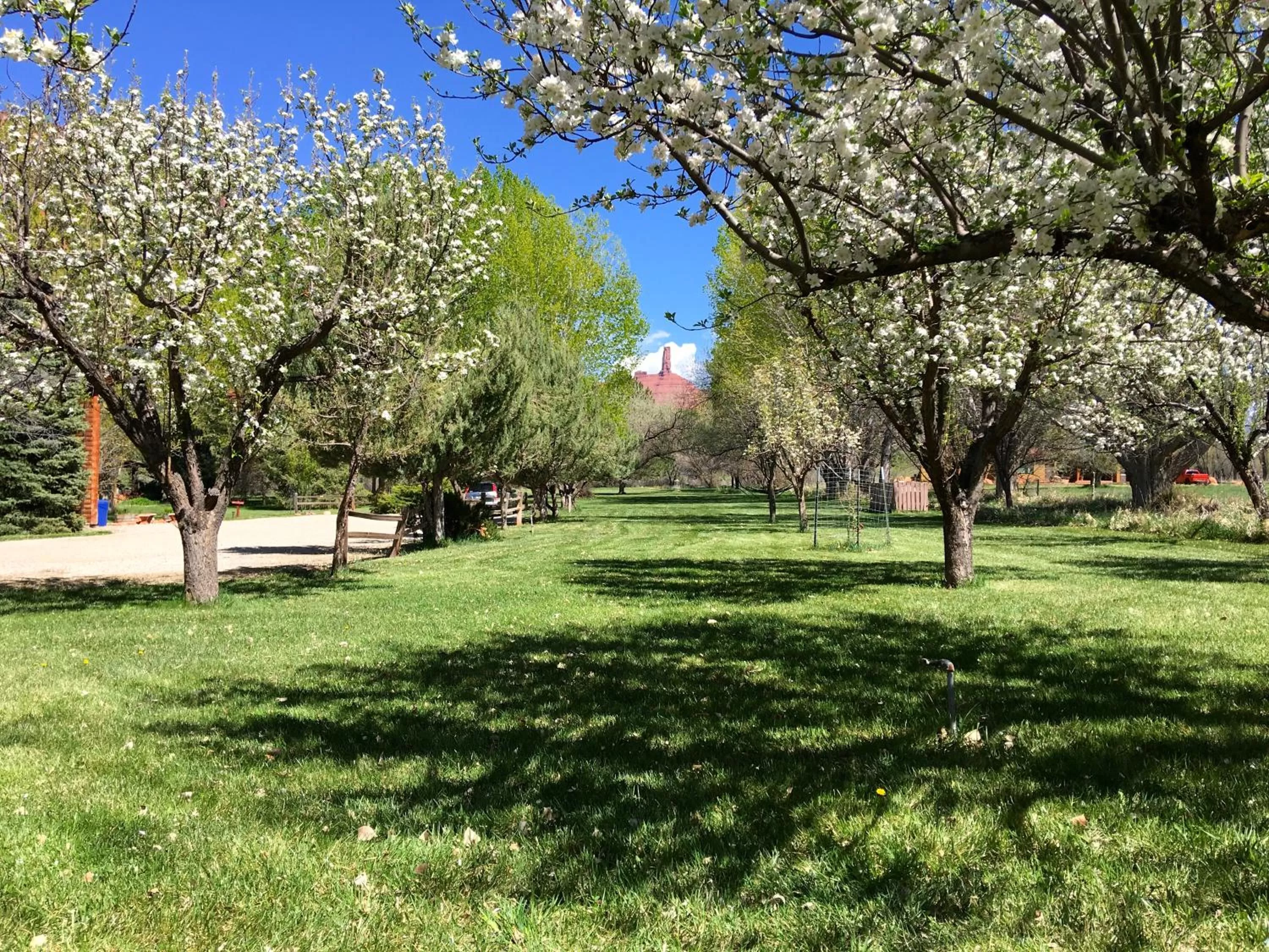 Garden in Castle Valley Inn