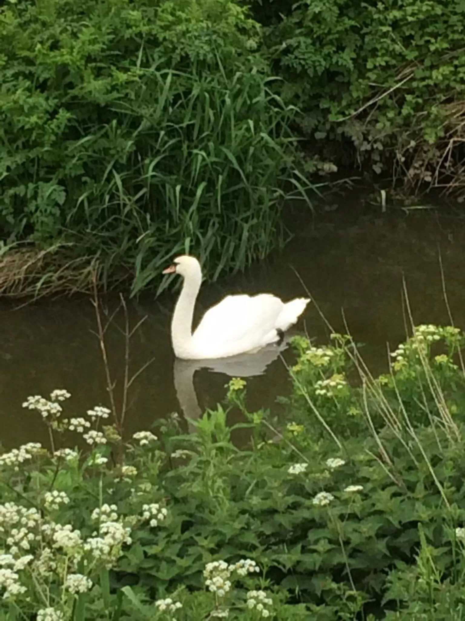 Natural landscape in Church Farm