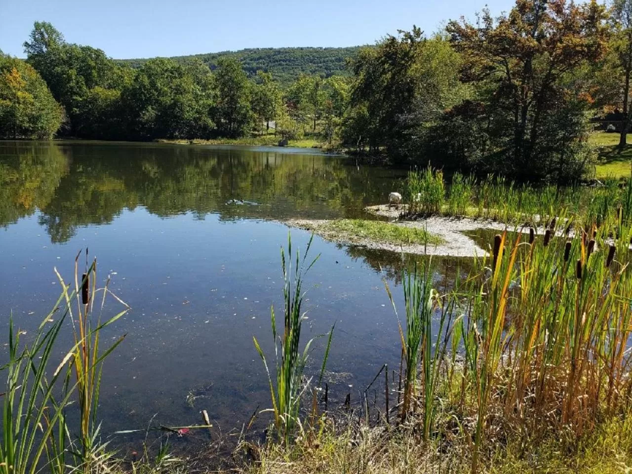 Lake view in Chateau Resort & Conference Center