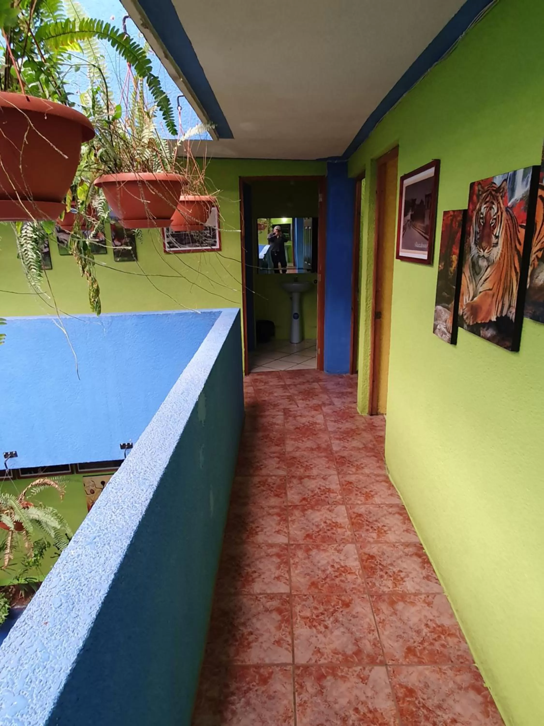 hotel kasa kamelot 2