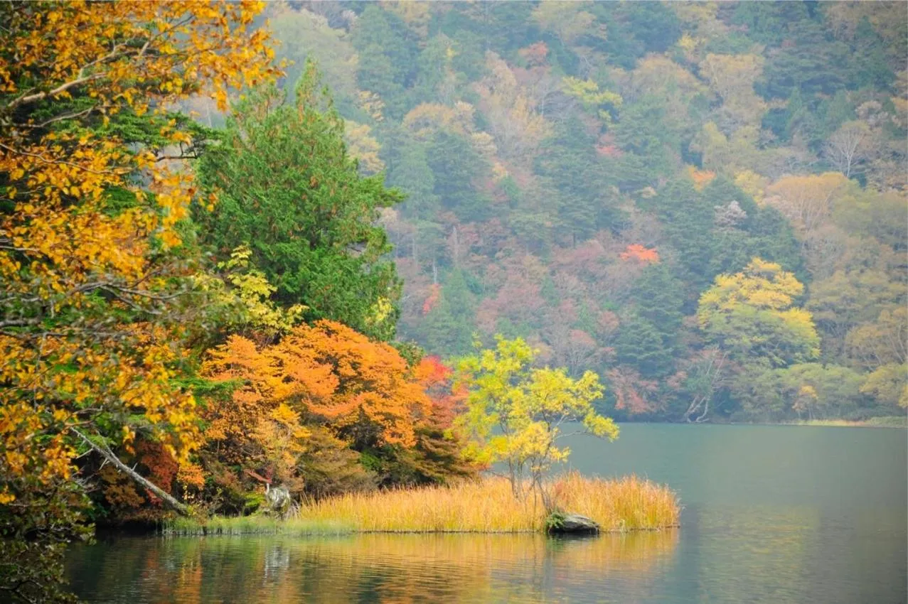 Area and facilities in Yumoto Itaya