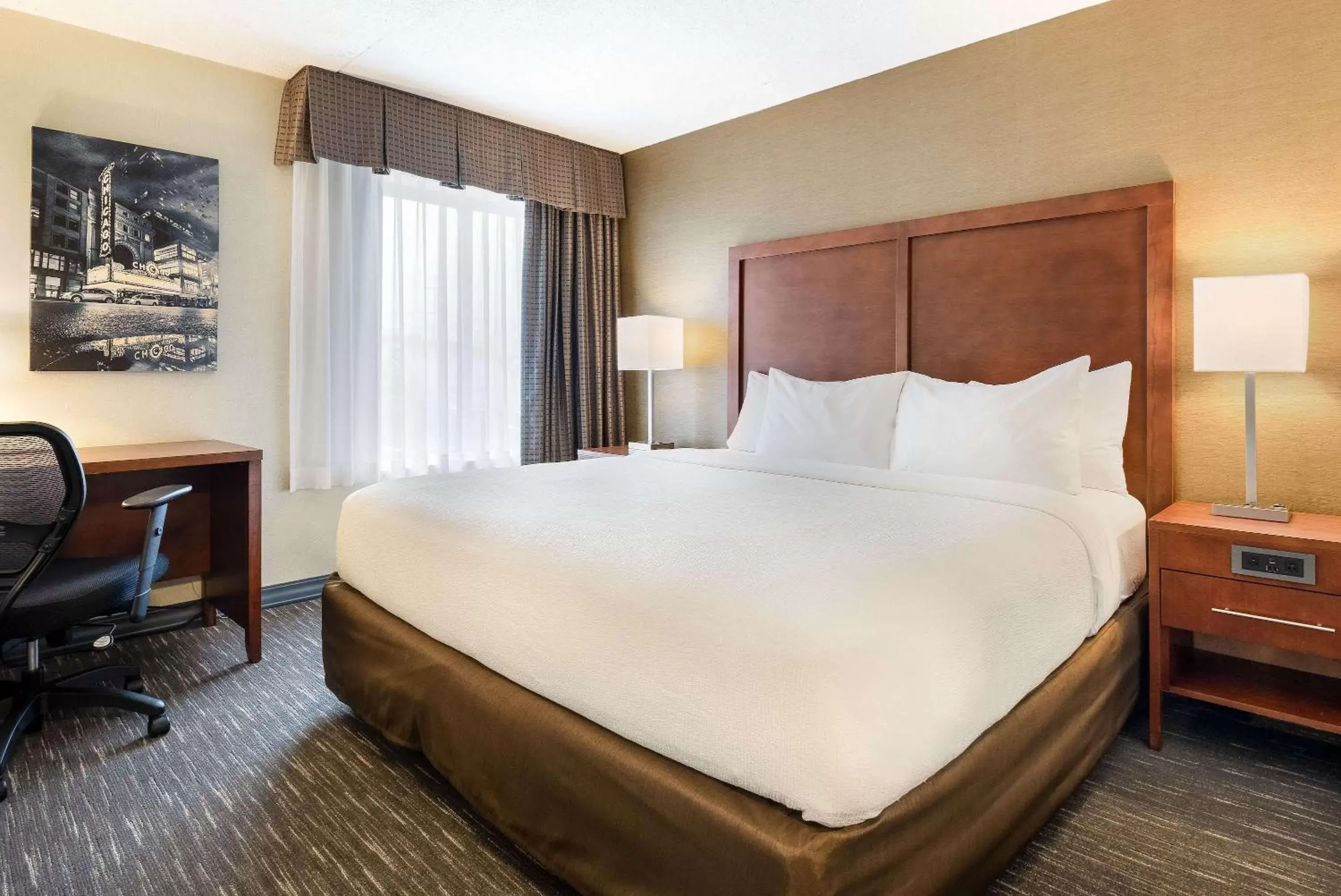 Bedroom, Bed in Best Western Chicago - Downers Grove