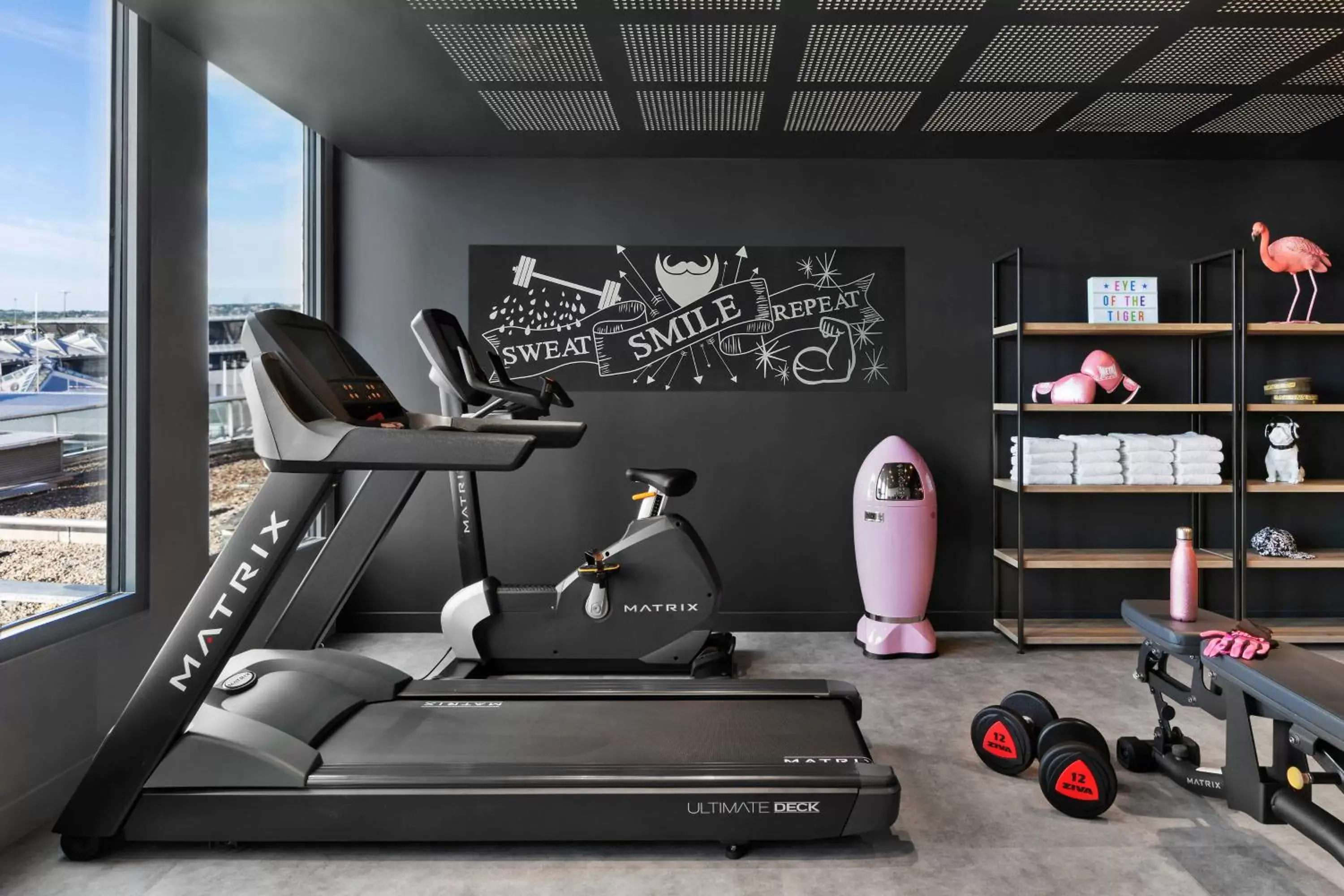 Fitness centre/facilities, Fitness Center/Facilities in Moxy Lyon Airport