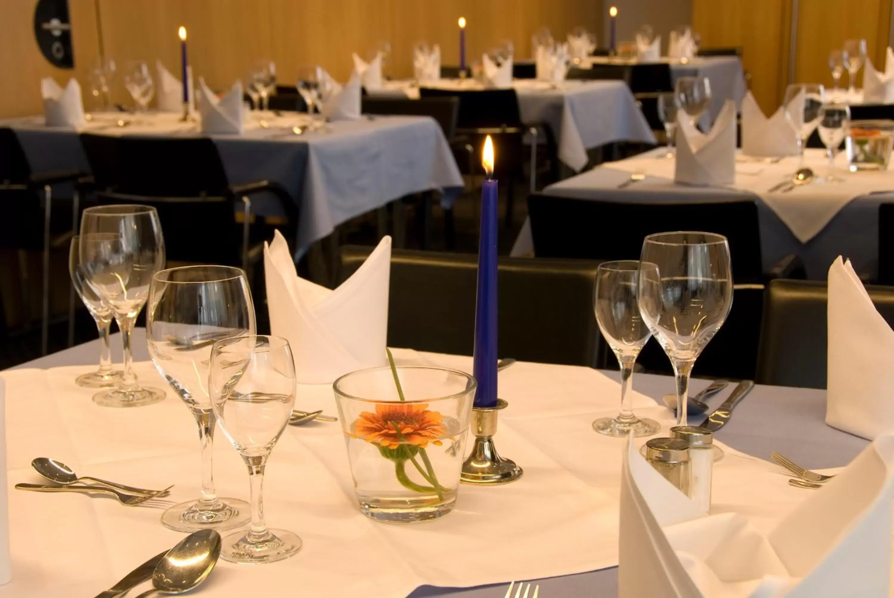 Banquet/Function facilities, Restaurant/Places to Eat in SEEhotel Friedrichshafen