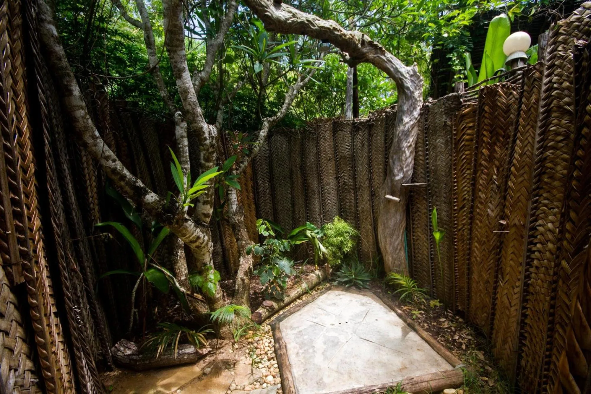Shower in Distant Relatives Ecolodge & Backpackers