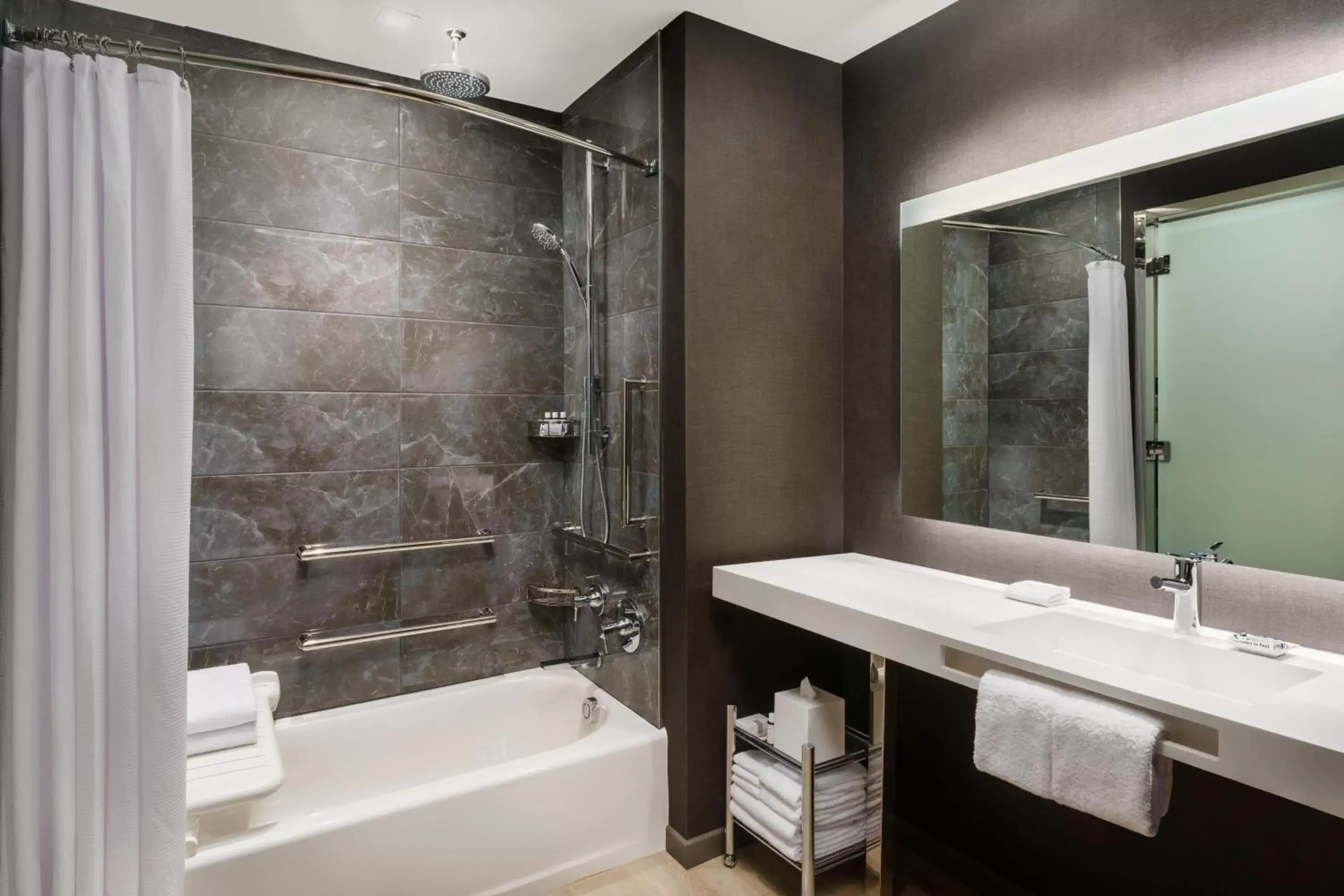 Photo of the whole room, Bathroom in AC Hotel By Marriott Raleigh Downtown