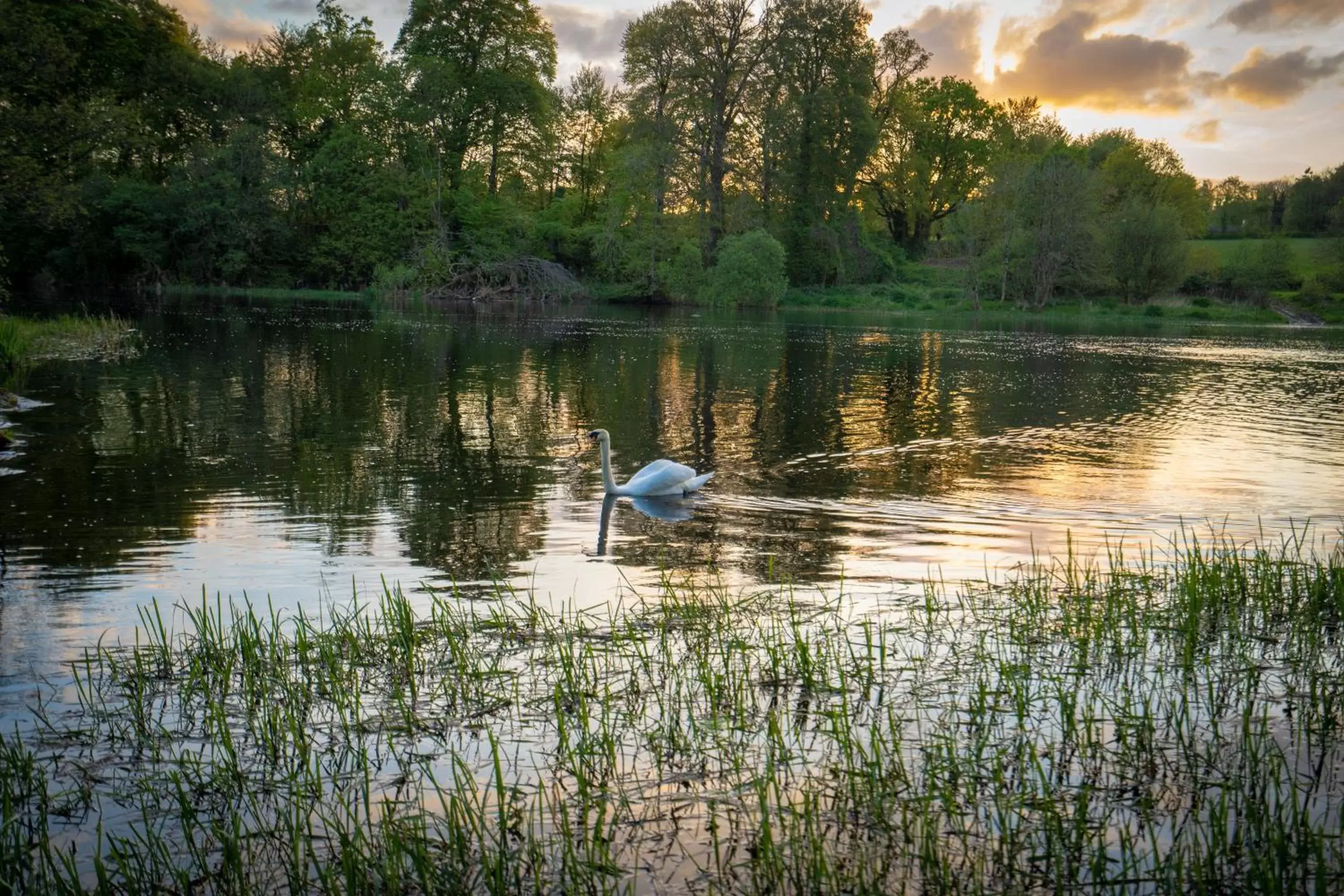 Natural landscape, Other Animals in Castle Oaks House Hotel