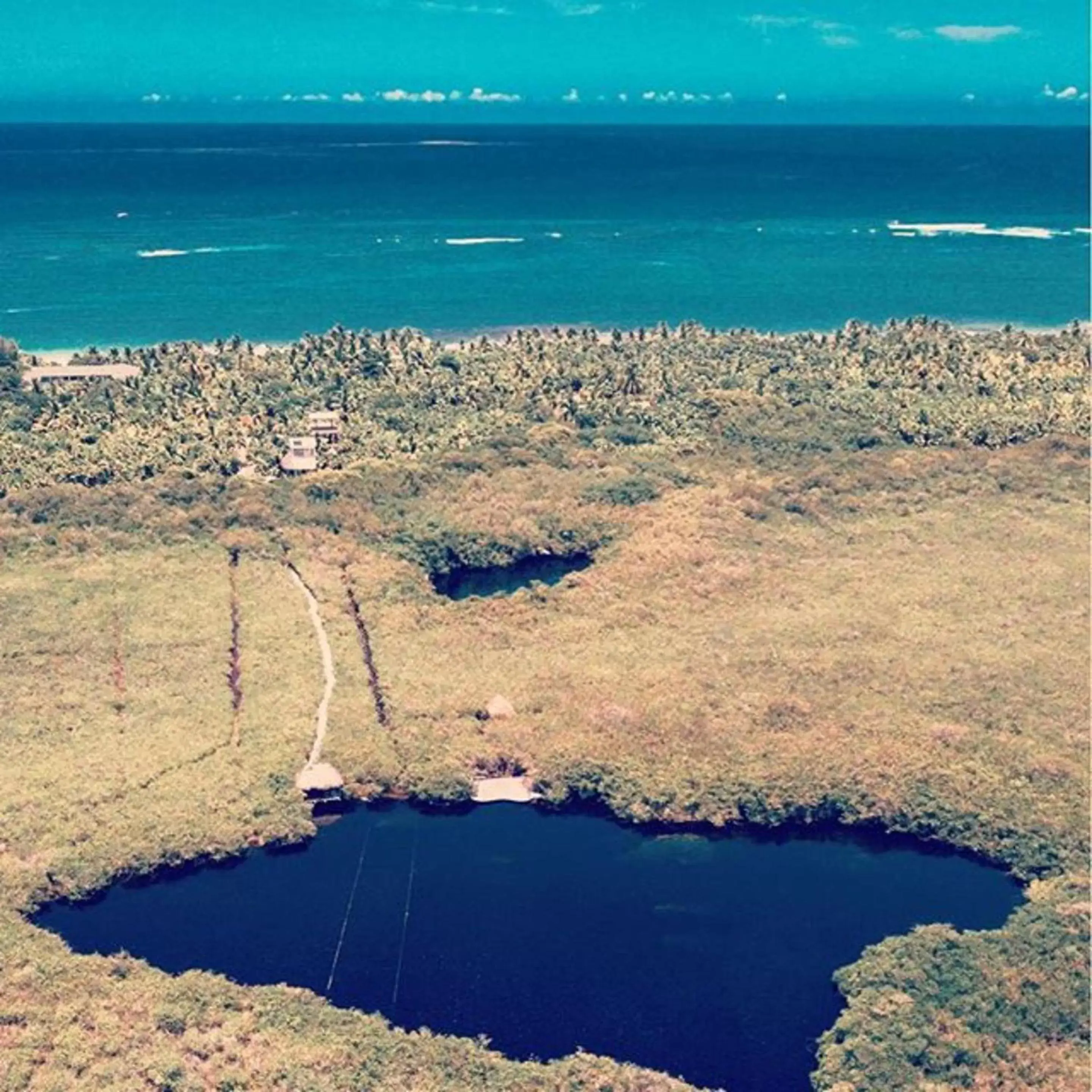 Area and facilities, Bird's-eye View in Cormoran Boutique Hotel & Private Cenote Tulum