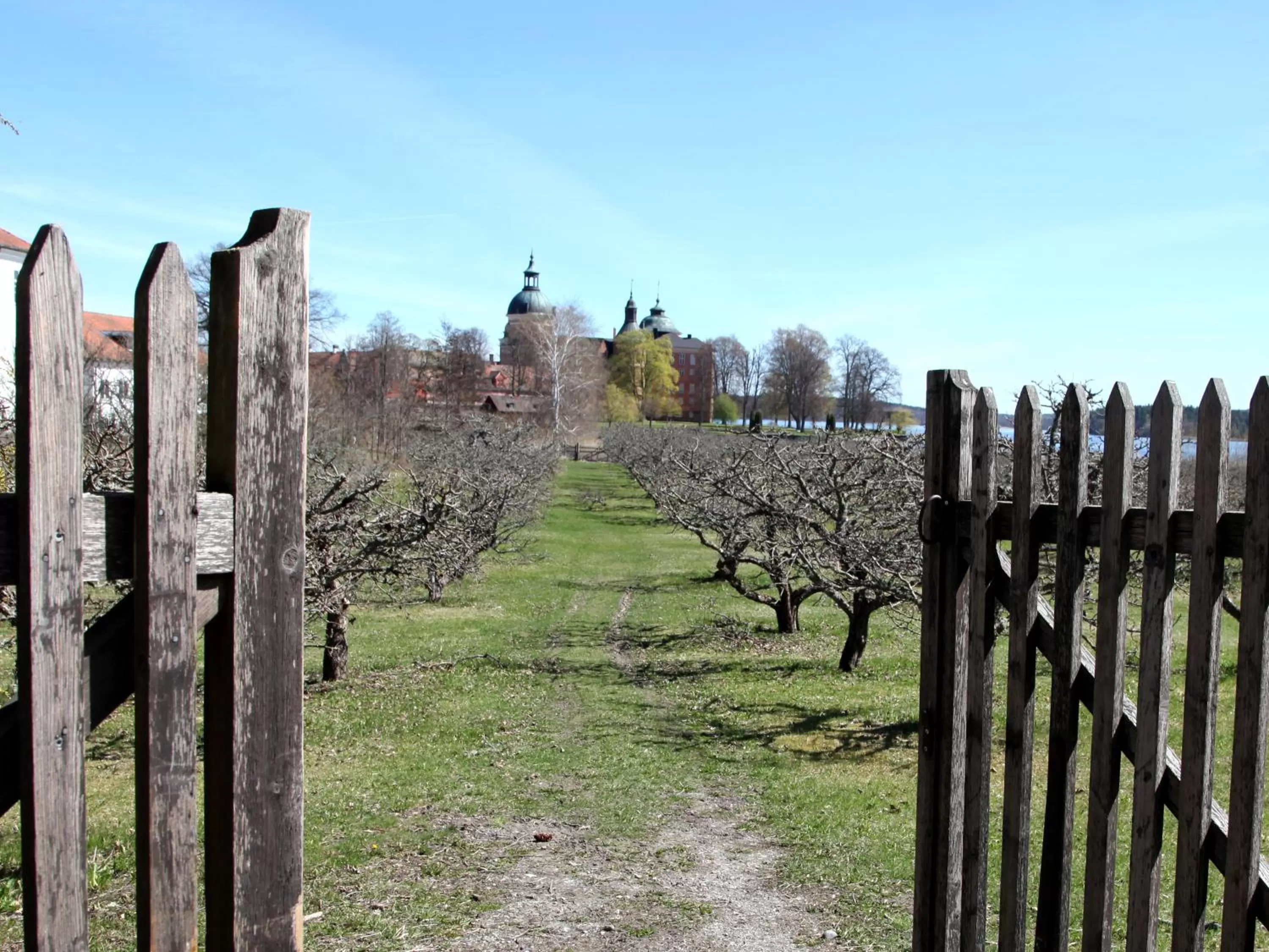 Garden view in Gripsholms BnB