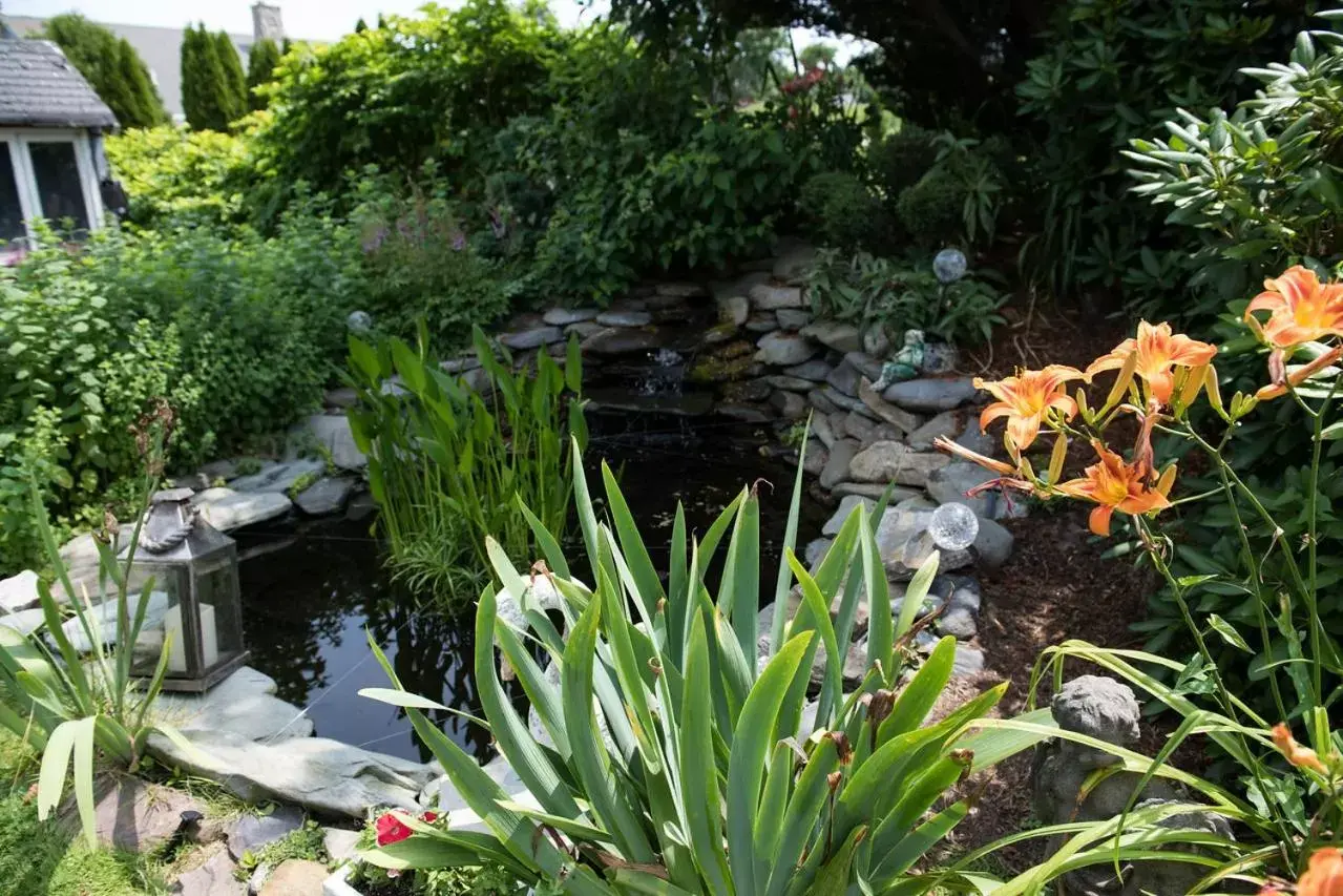 Garden in Gardenview Bed and Breakfast Garden in Gardenview Bed and Breakfast