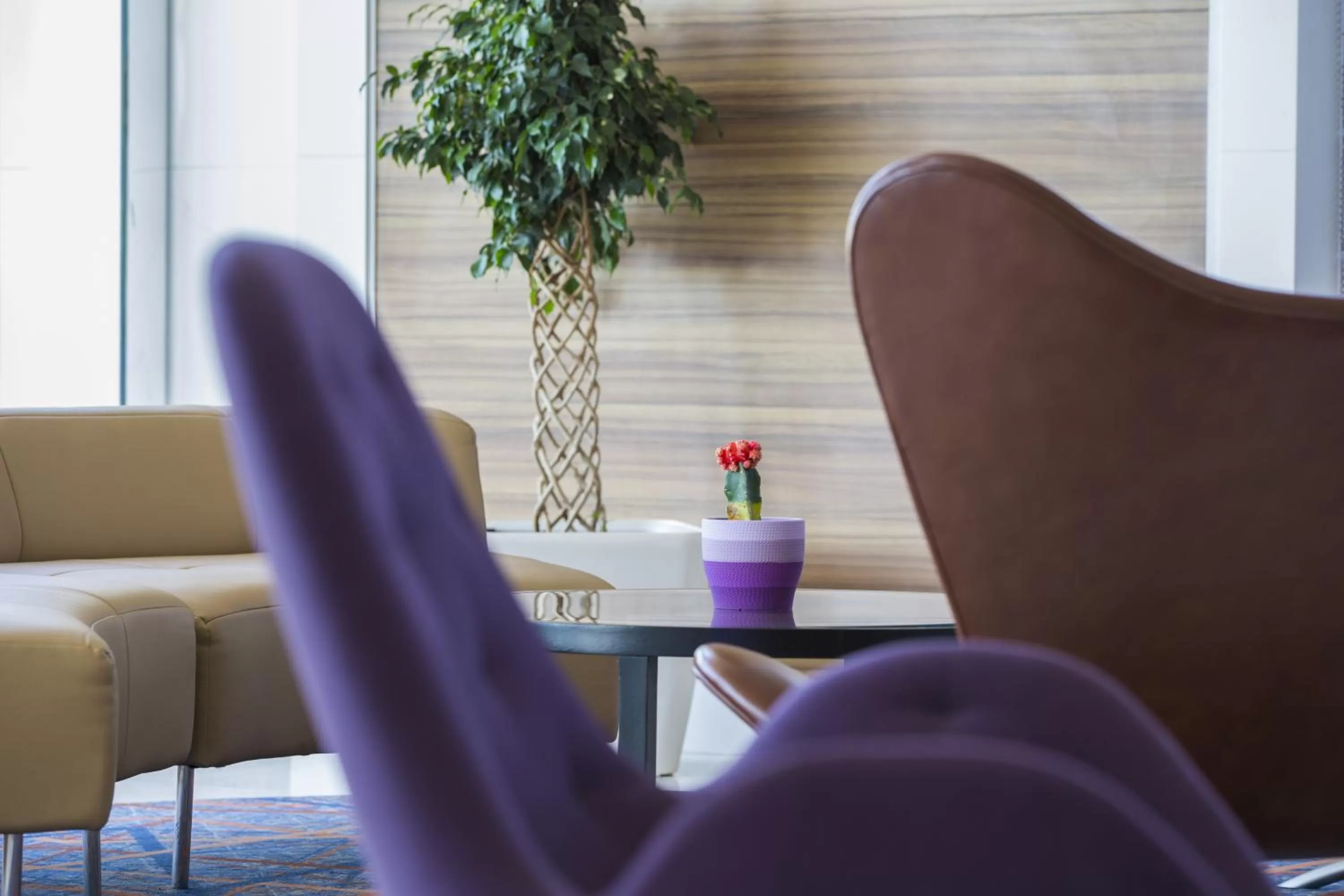 Lounge or bar in Radisson Blu Plaza Jeddah