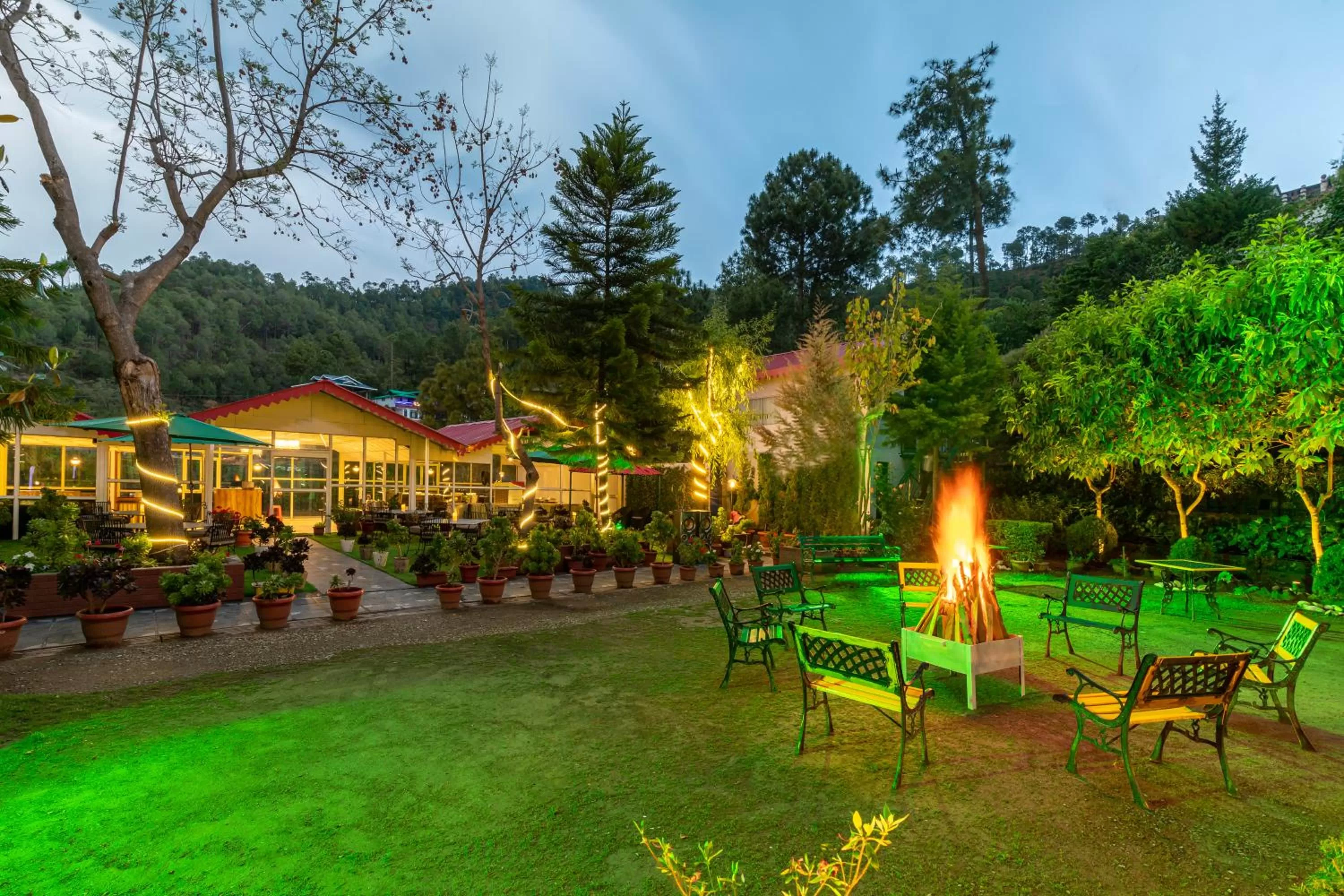Restaurant/places to eat, Swimming Pool in Country Inn Maple Resort Chail