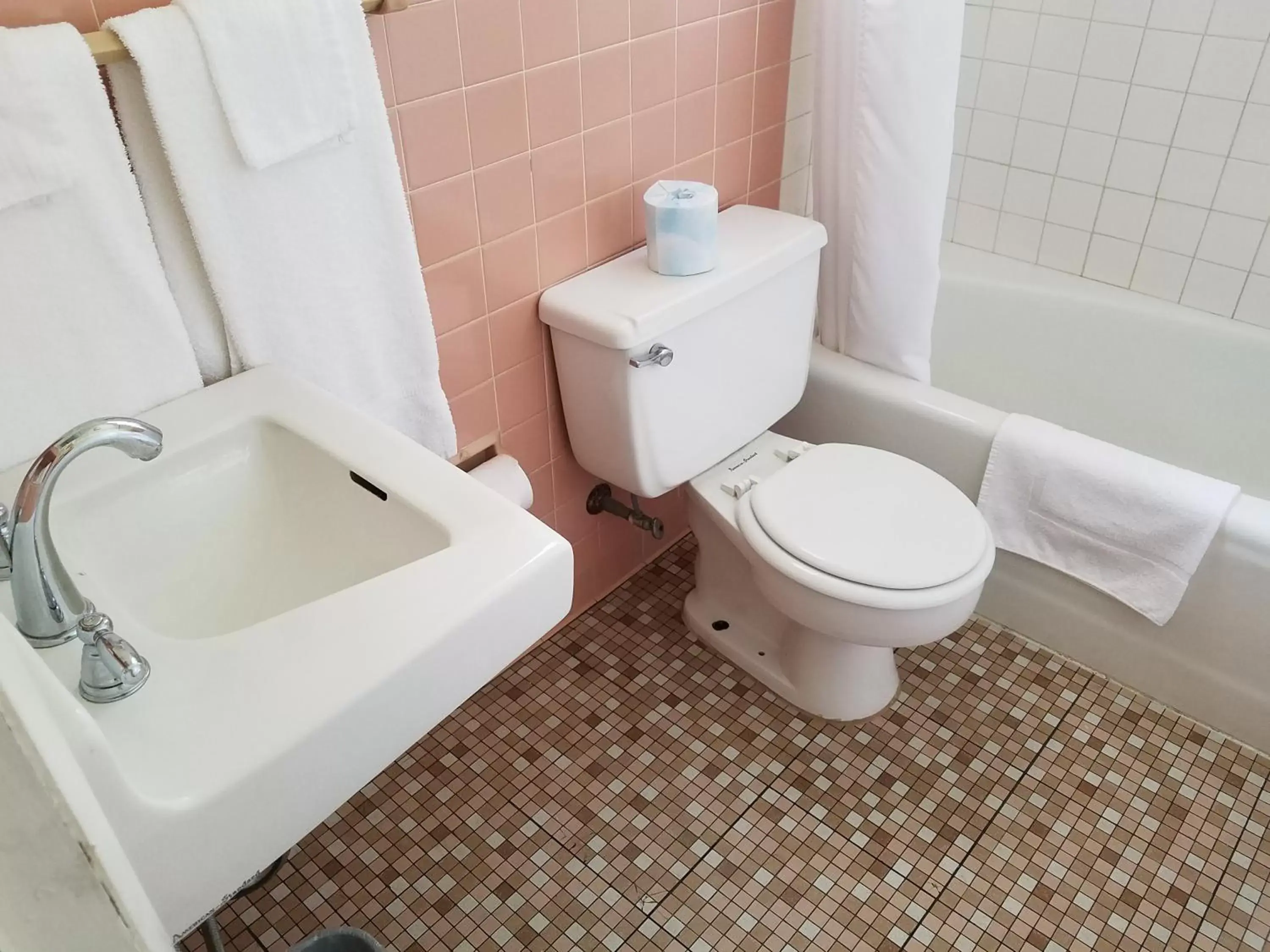 Shower, Bathroom in West Plains Motel