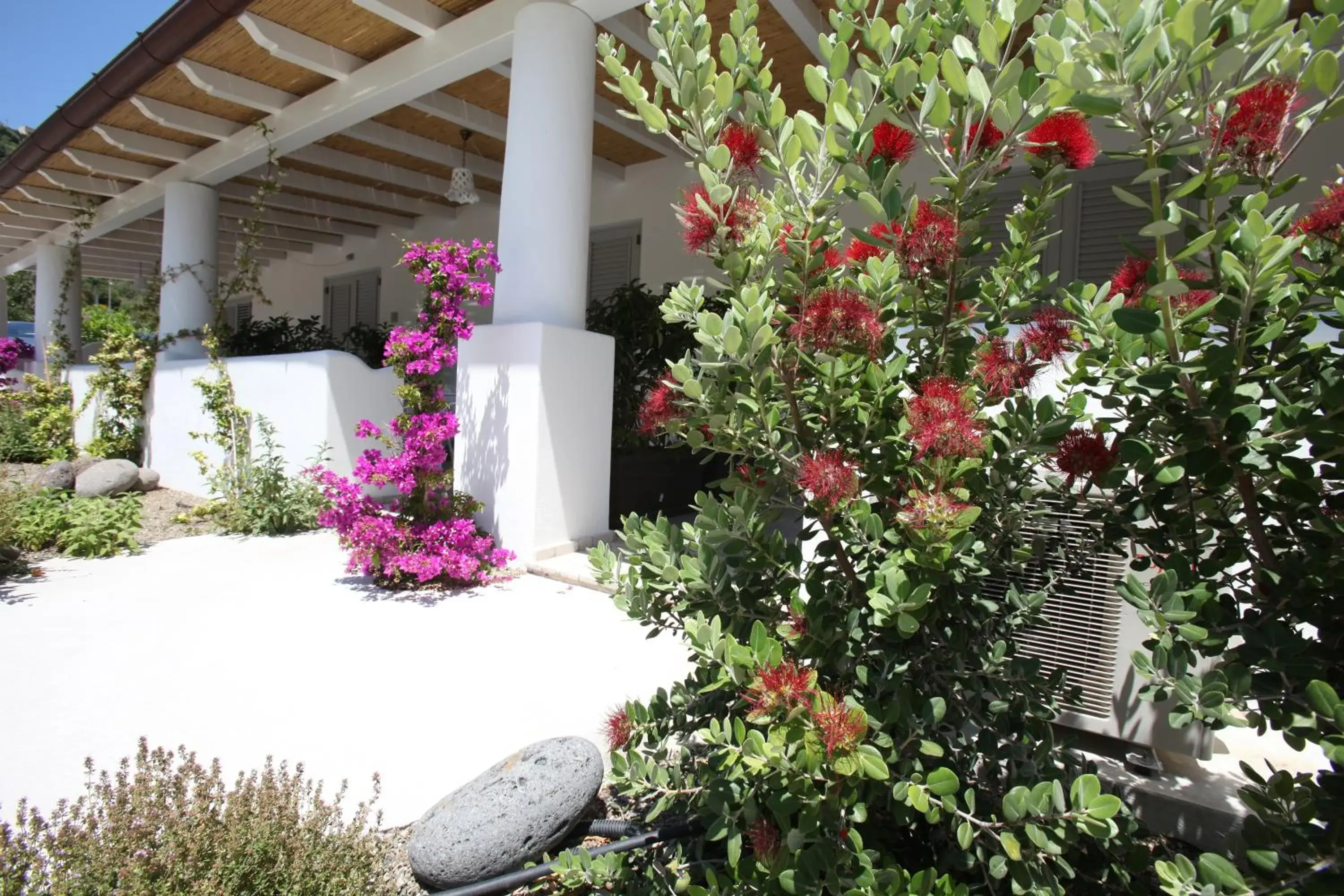 Garden in Hotel Mea