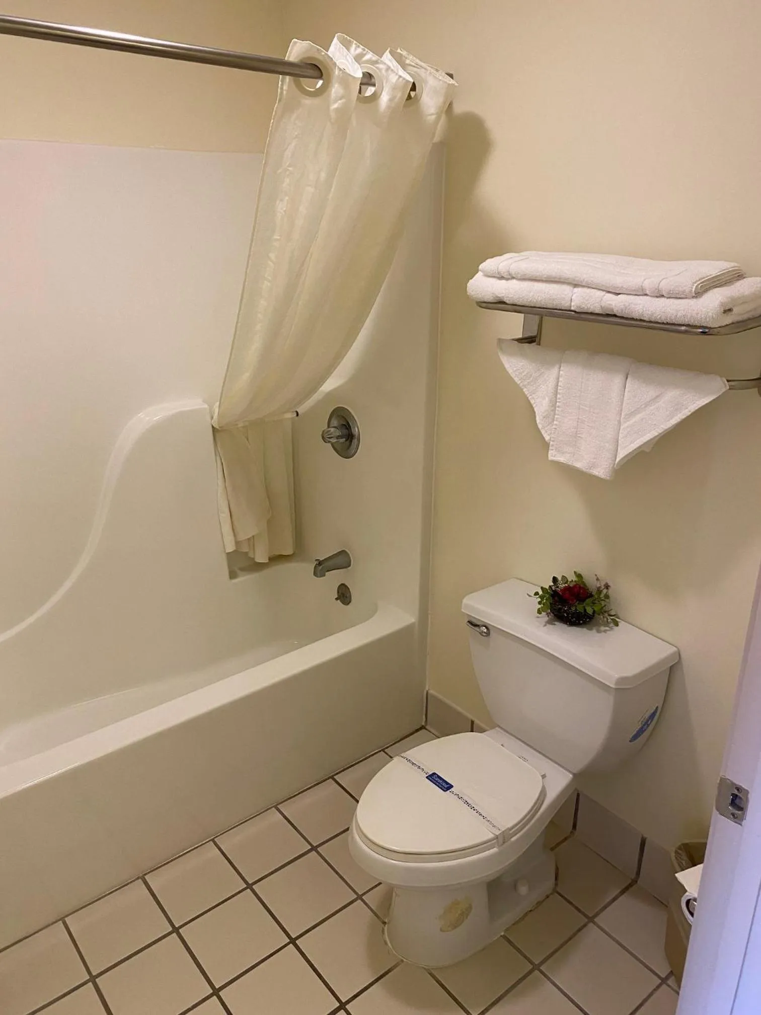 Shower in Country Hearth Inn-Union City