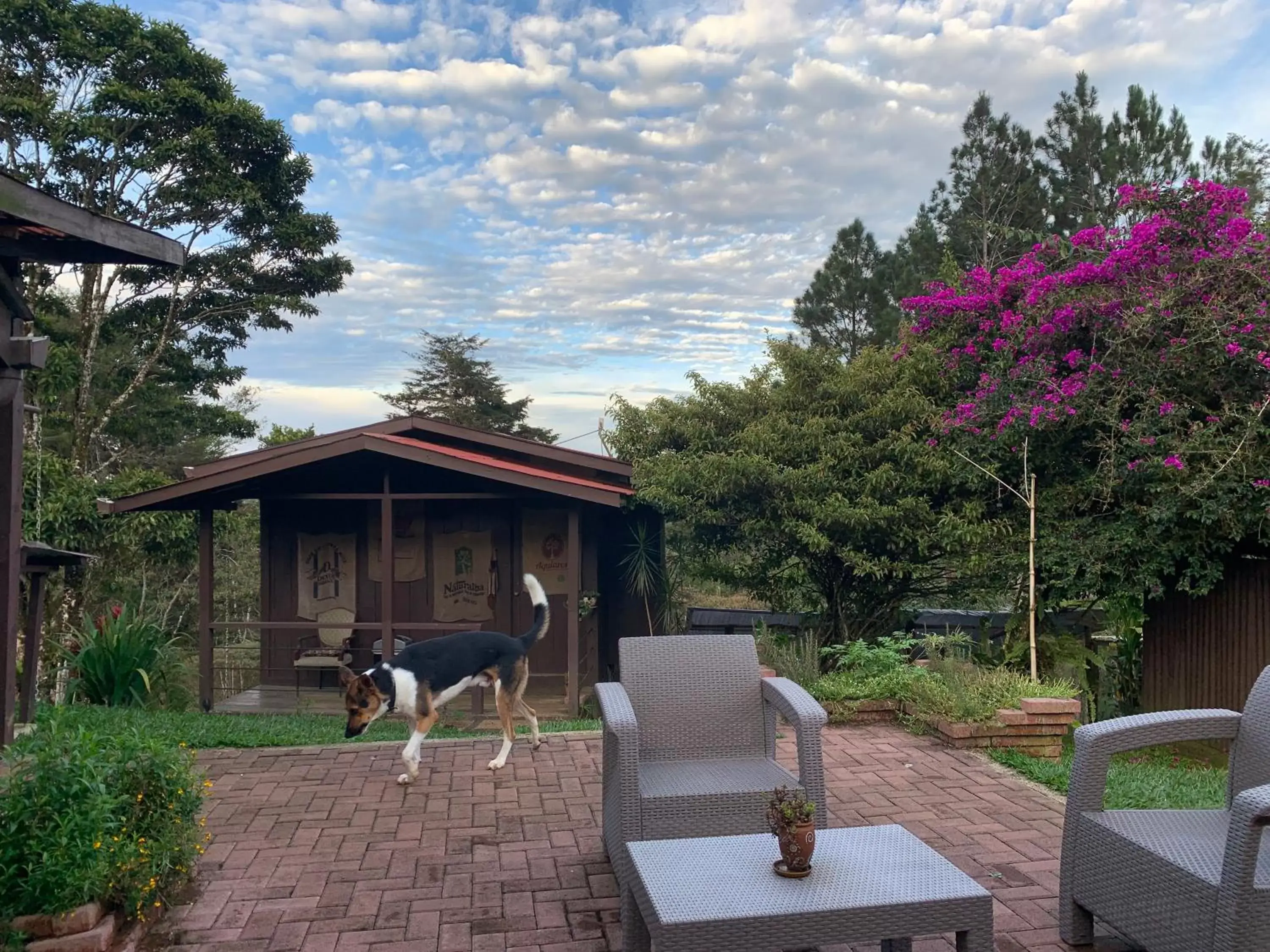 The Lodge at Reventazon River Mountain Ranch