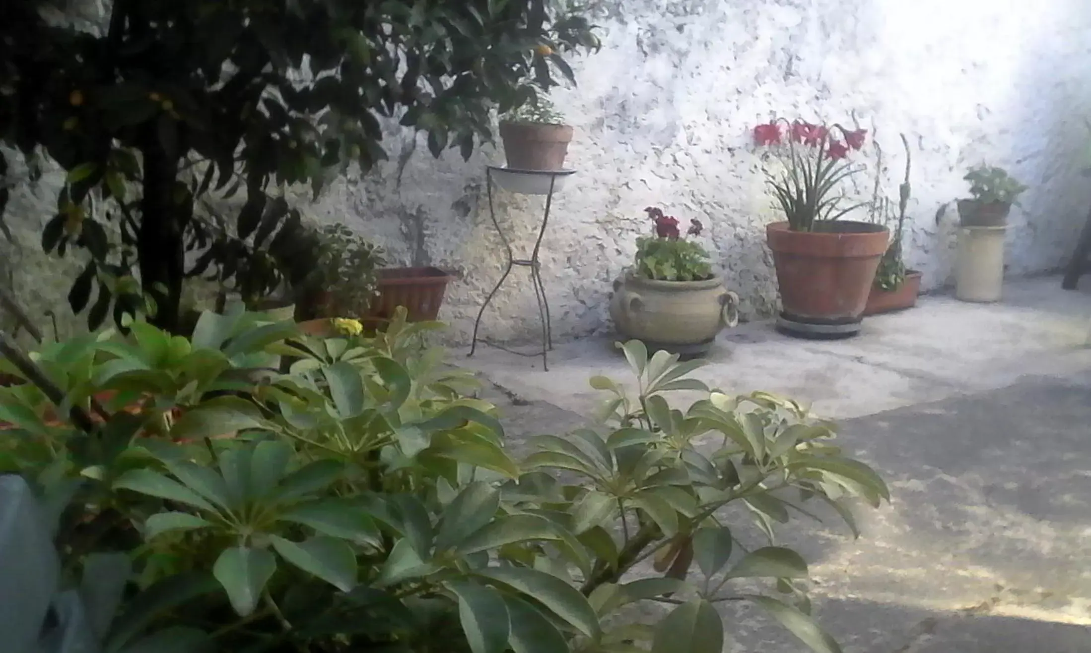 Balcony/Terrace in Casamuseo del Risorgimento