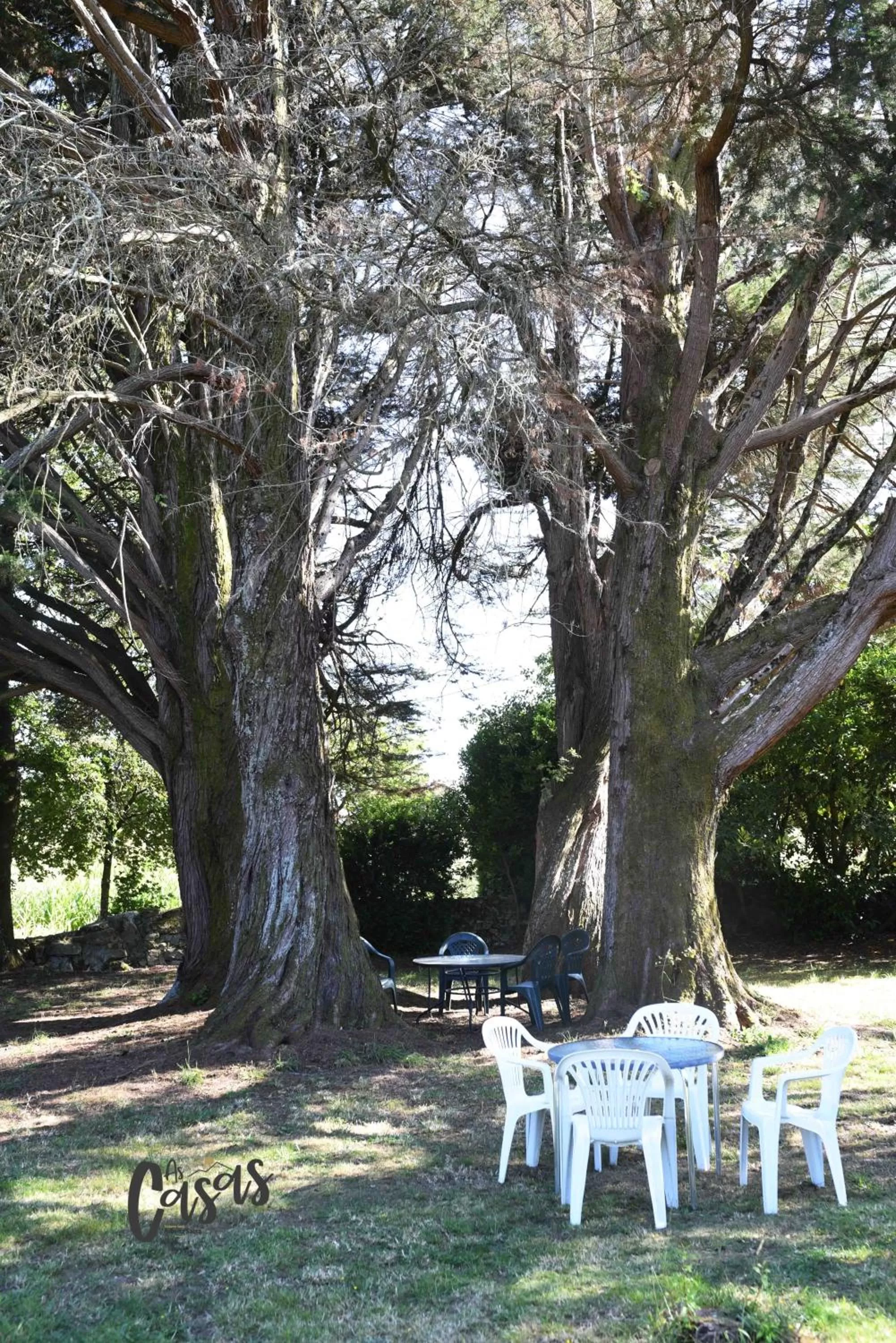 Off site in As Casas Ribeira Sacra