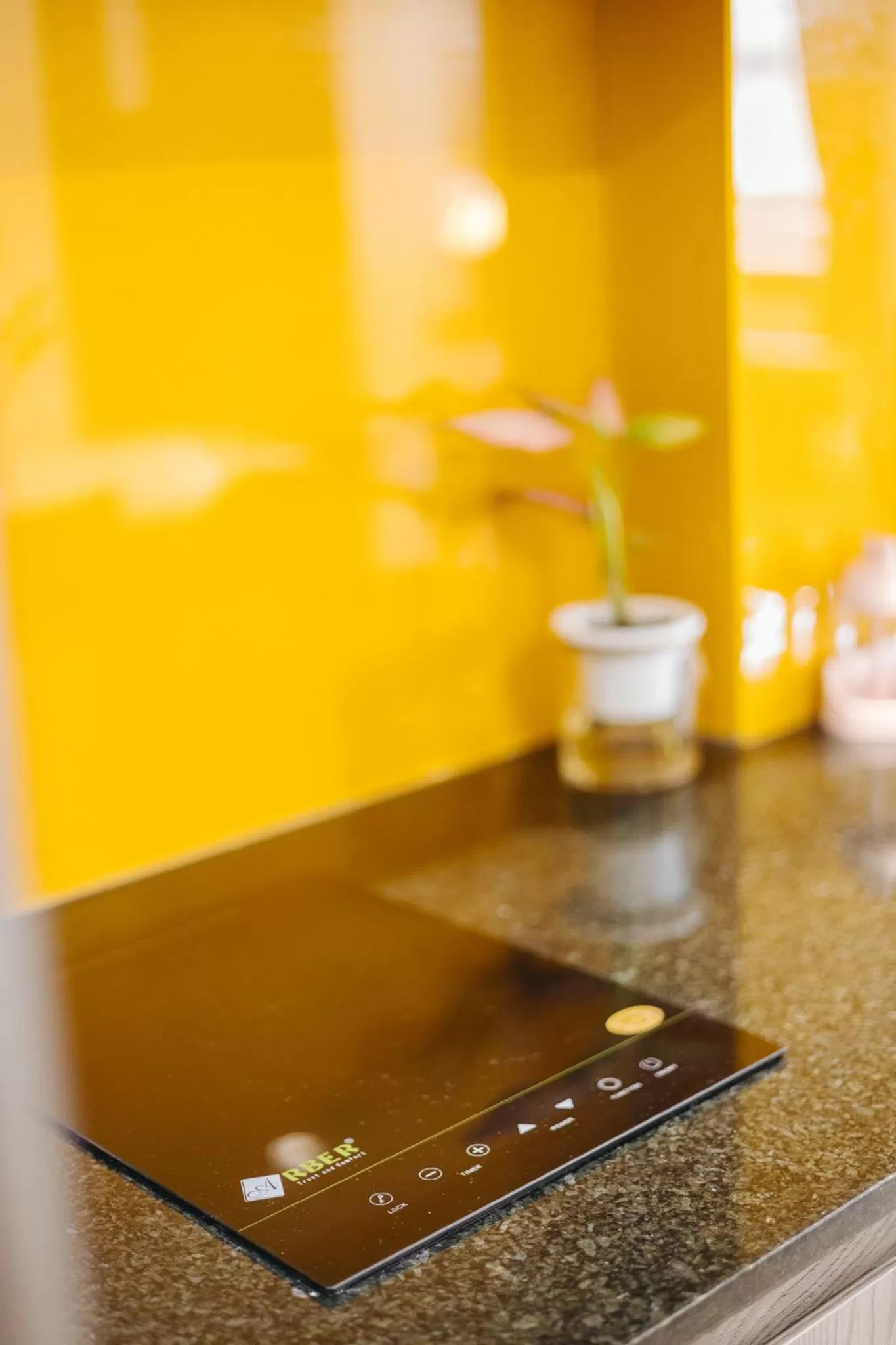 Kitchen or kitchenette in LUCK APART 8 - Hanoi Westlake Balcony Studio