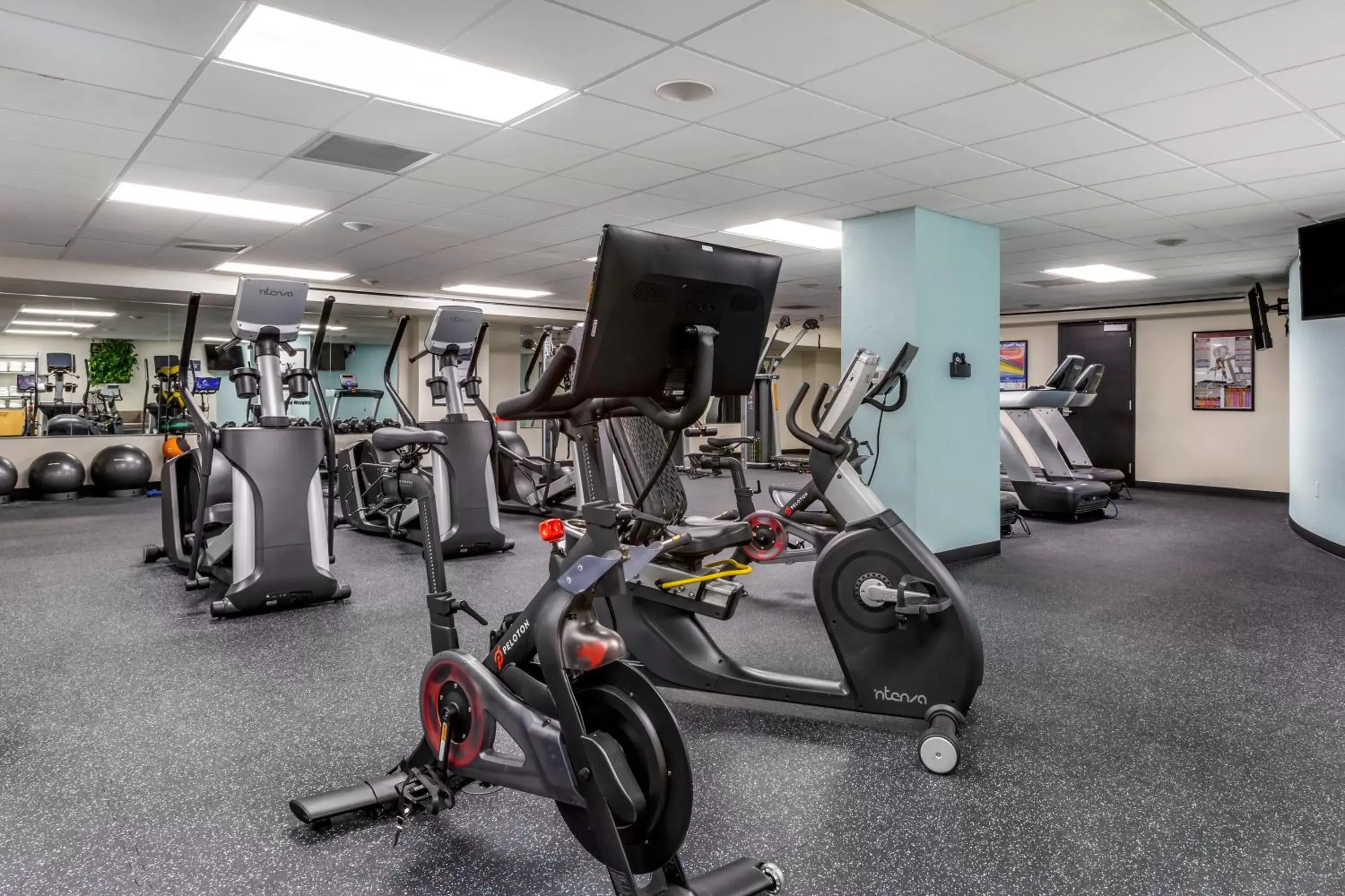 Fitness centre/facilities, Fitness Center/Facilities in Bluegreen Vacations Club 36