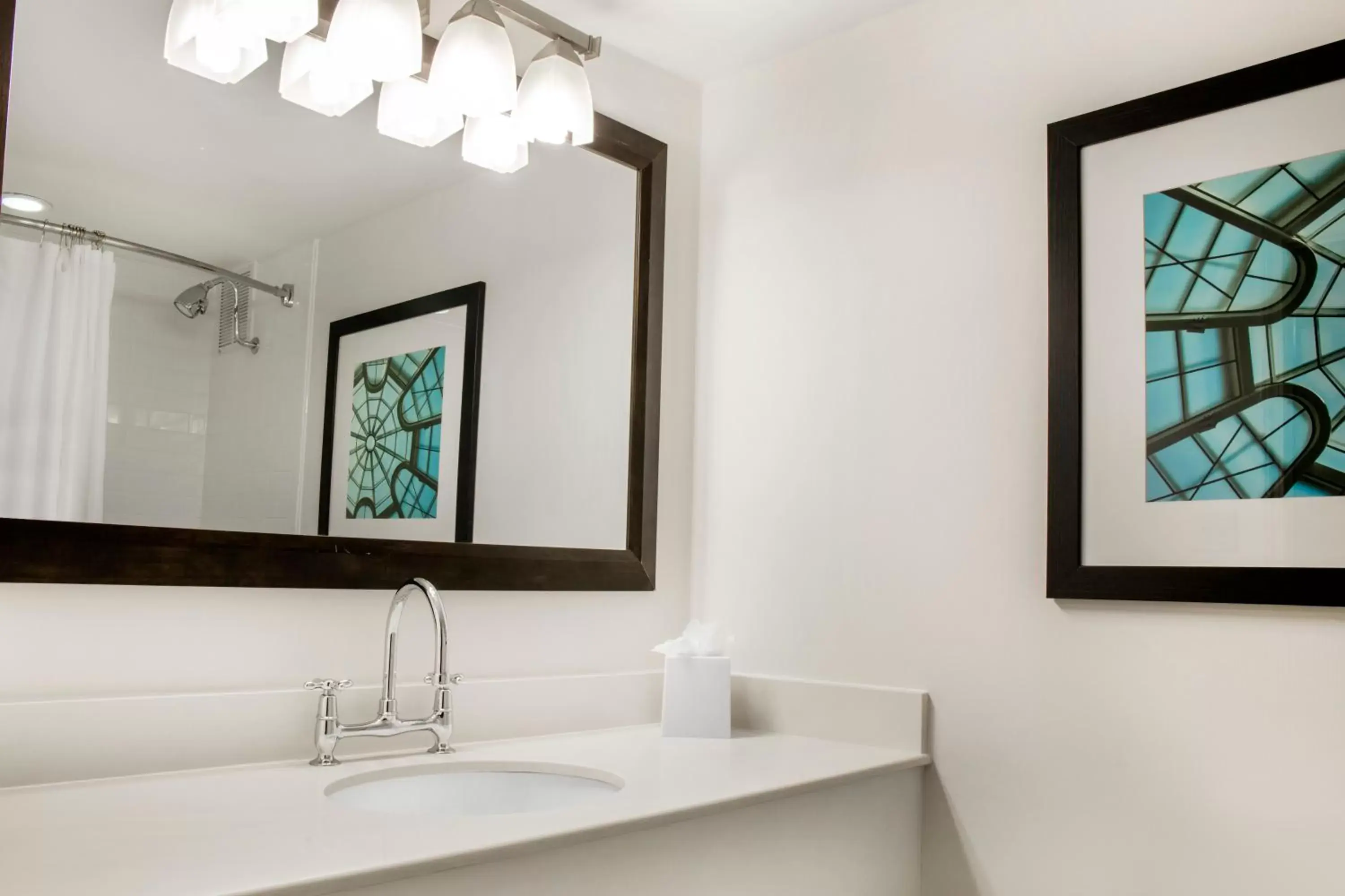 Decorative detail, Bathroom in Quality Inn Lexington - Horse Park