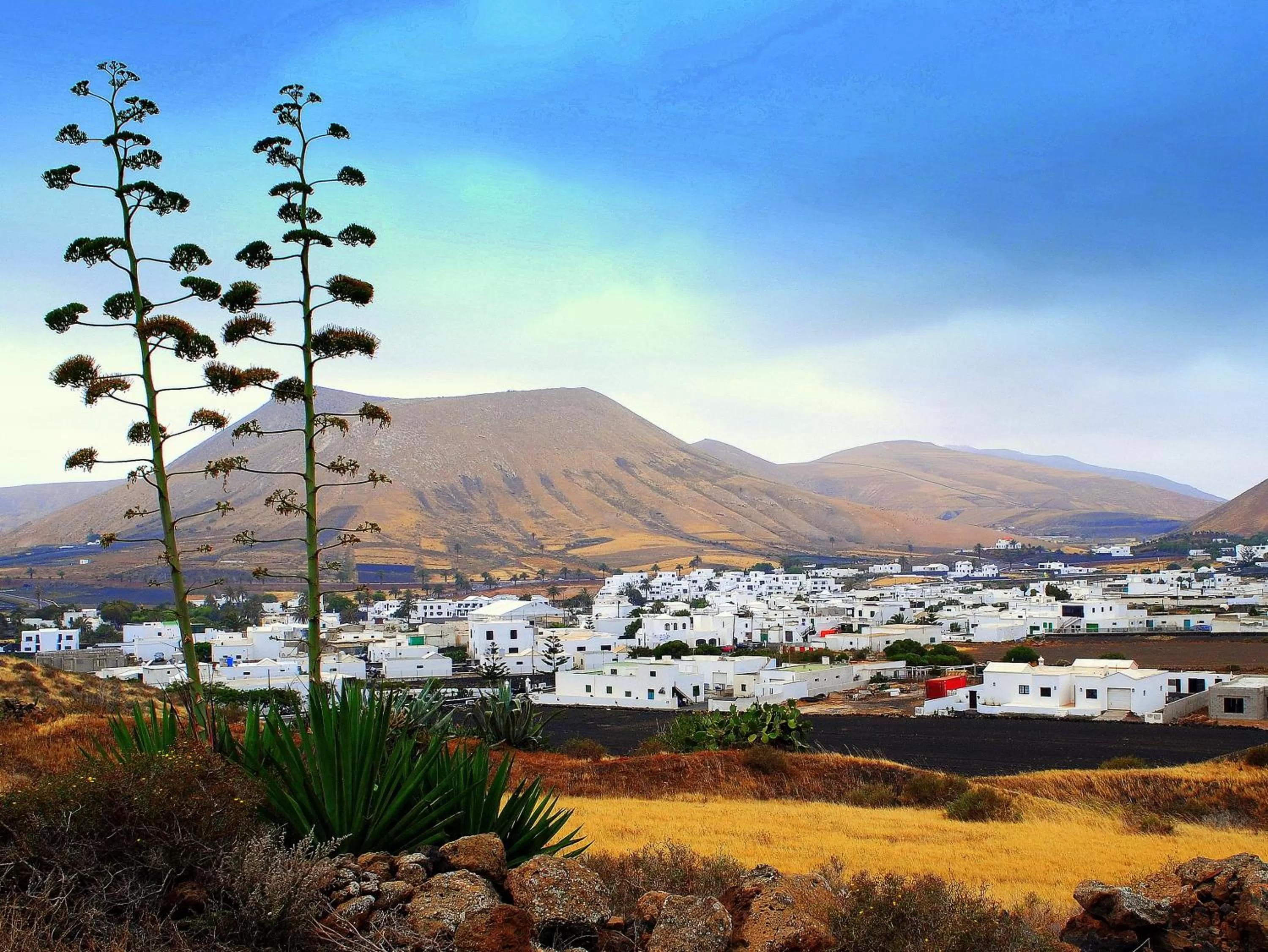 Neighbourhood in B&B Hotelito el Campo