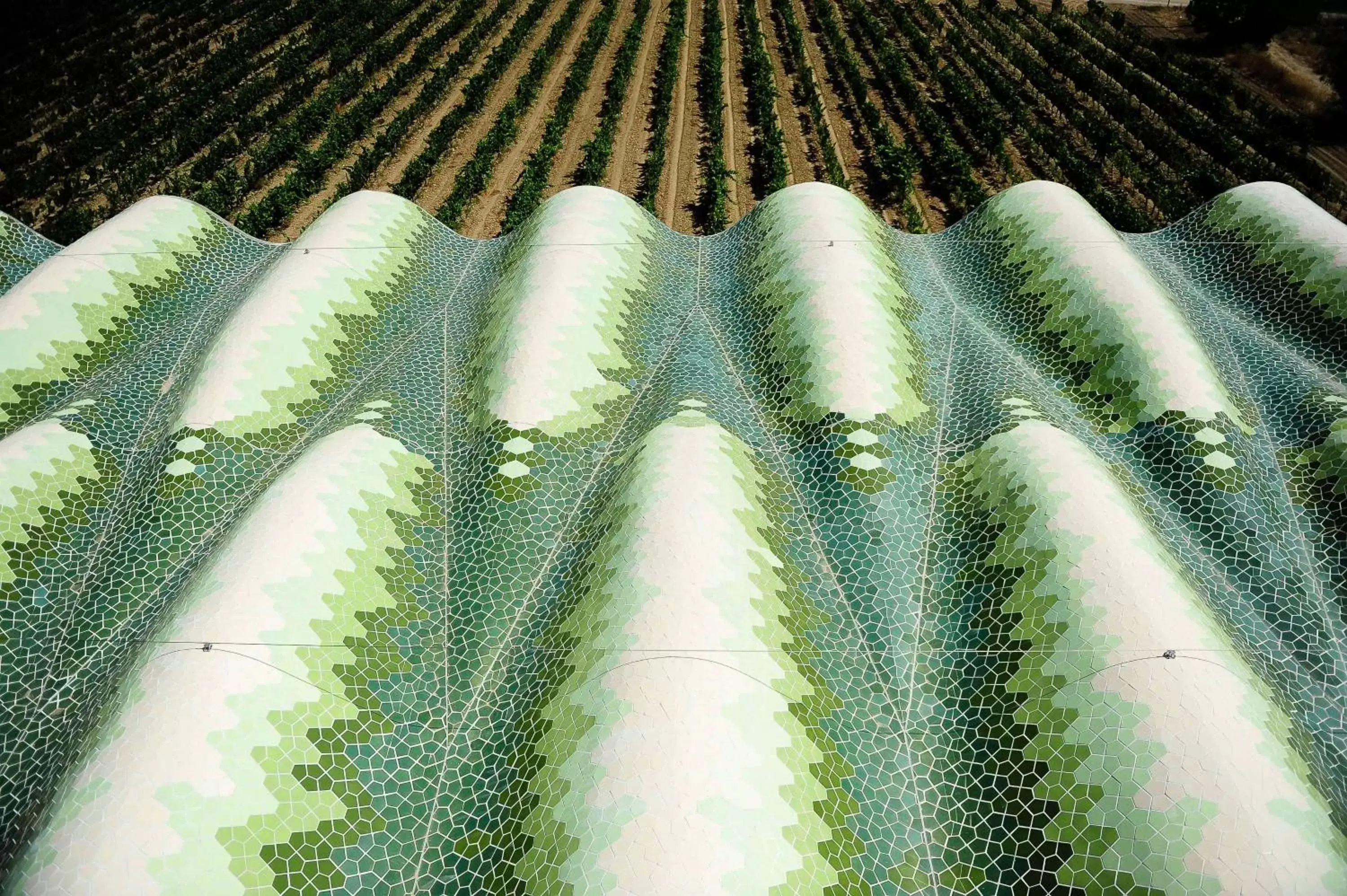 Property building in Mastinell Cava & Boutique Hotel by Olivia Hotels Collection Property building in Mastinell Cava & Boutique Hotel by Olivia Hotels Collection