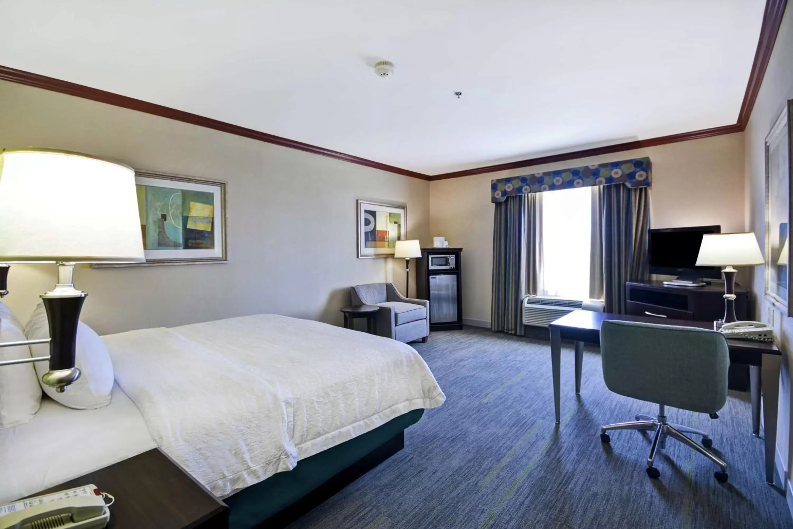 Bedroom, TV/Entertainment Center in Hampton Inn & Suites Corpus Christi I-37 - Navigation Boulevard