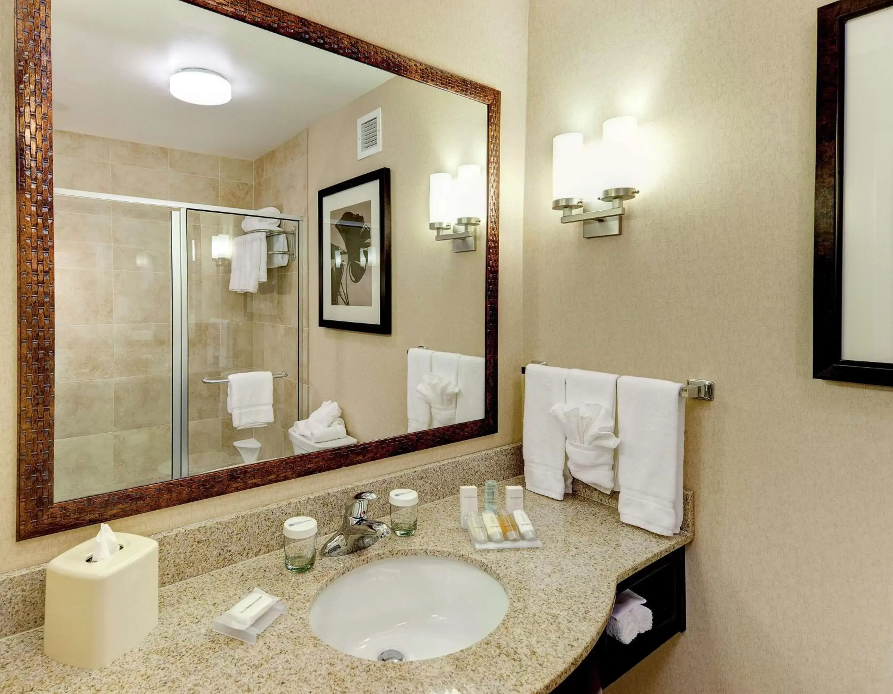 Bathroom in Hilton Garden Inn El Paso Airport