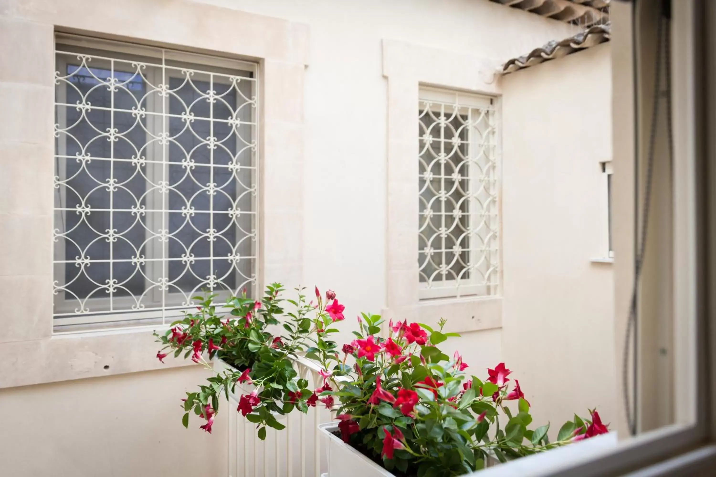 Patio, Facade/Entrance in Palazzo Montalbano