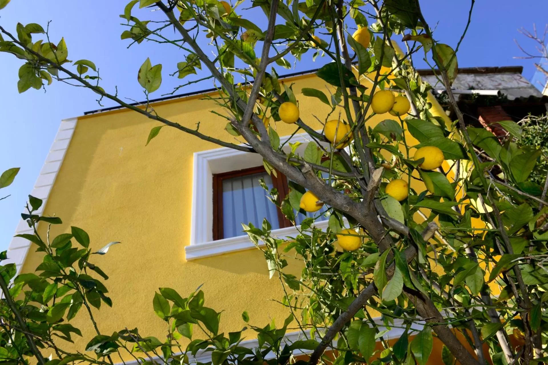 Garden in Hotel Poem