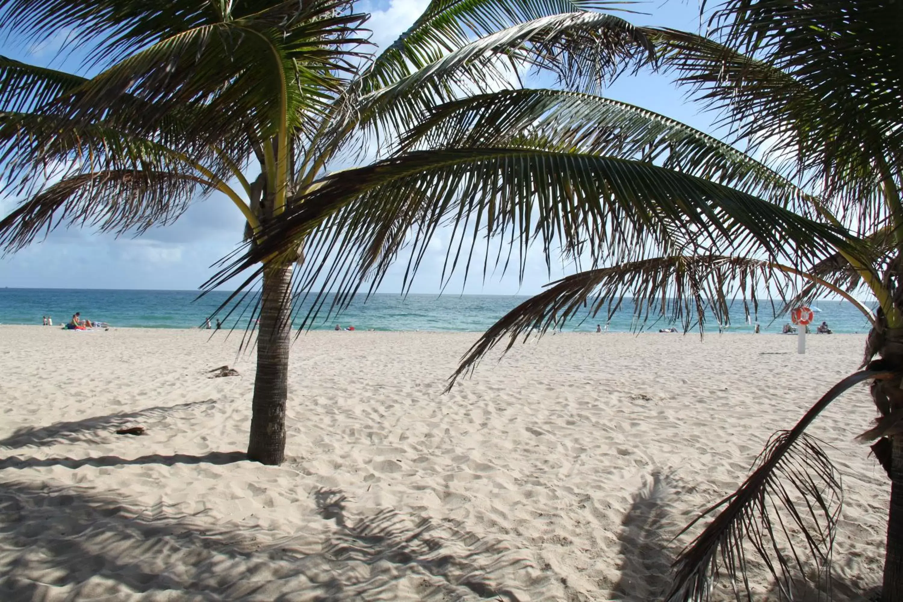 Beach in Castle by the Sea Motel