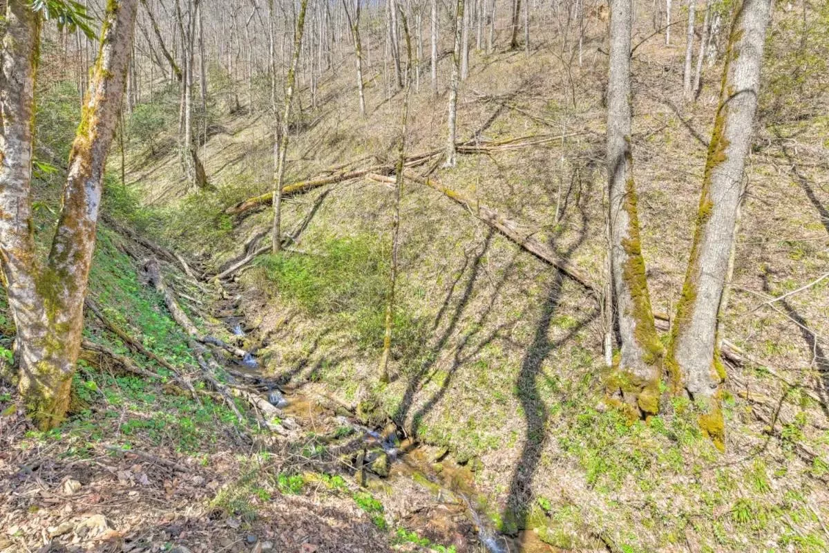 The Lodge Nantahala River