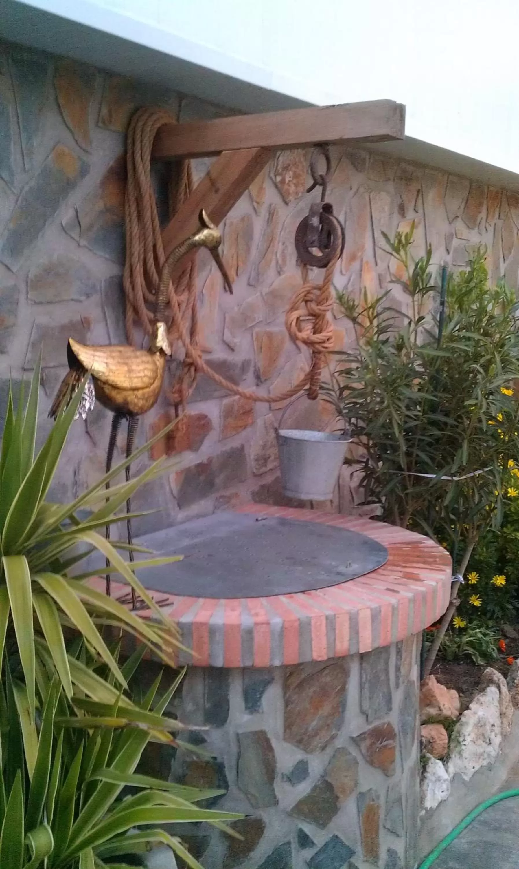 View (from property/room) in Hotel Ecologico Toral