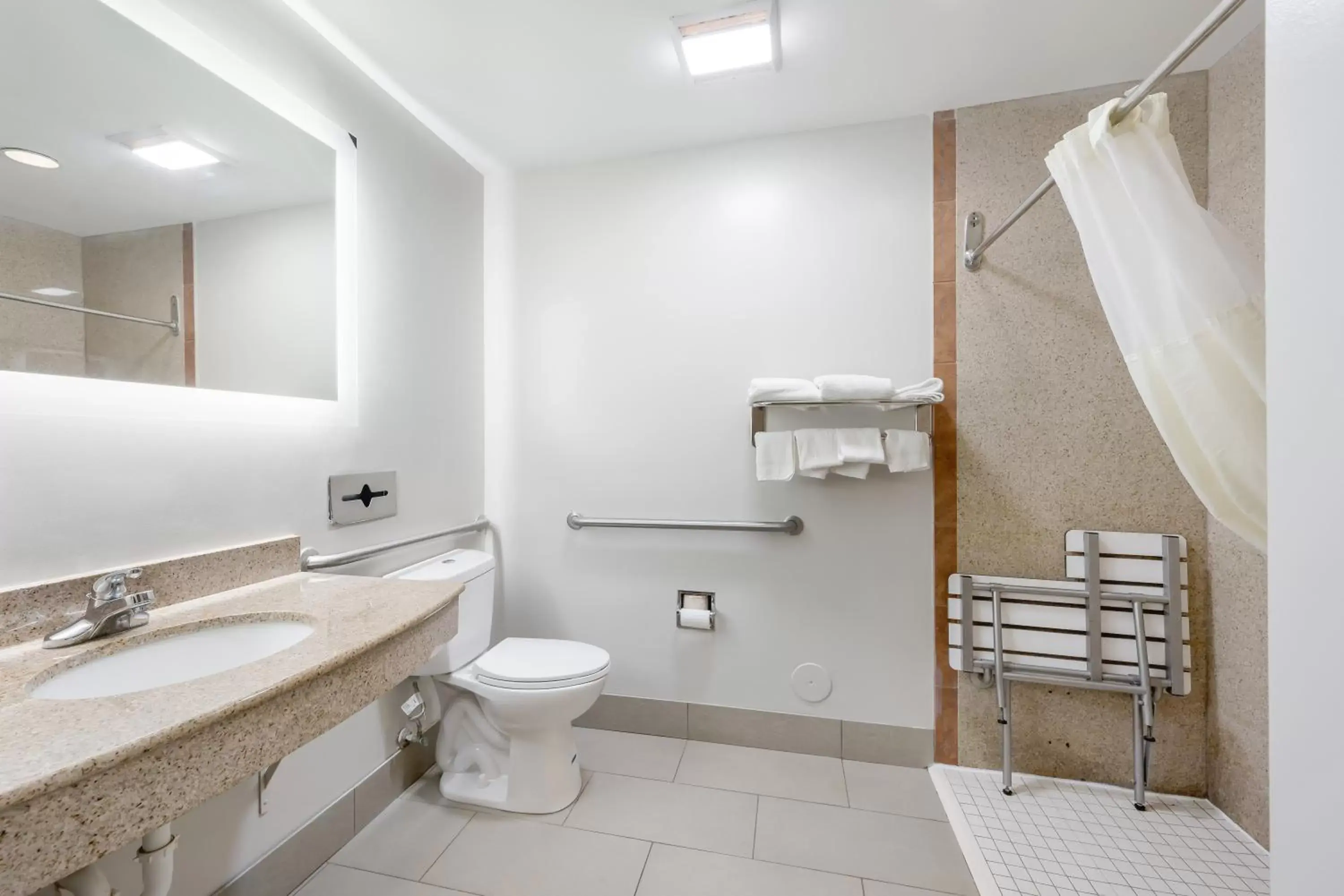 Bathroom in Red Roof Inn PLUS & Suites Birmingham - Bessemer