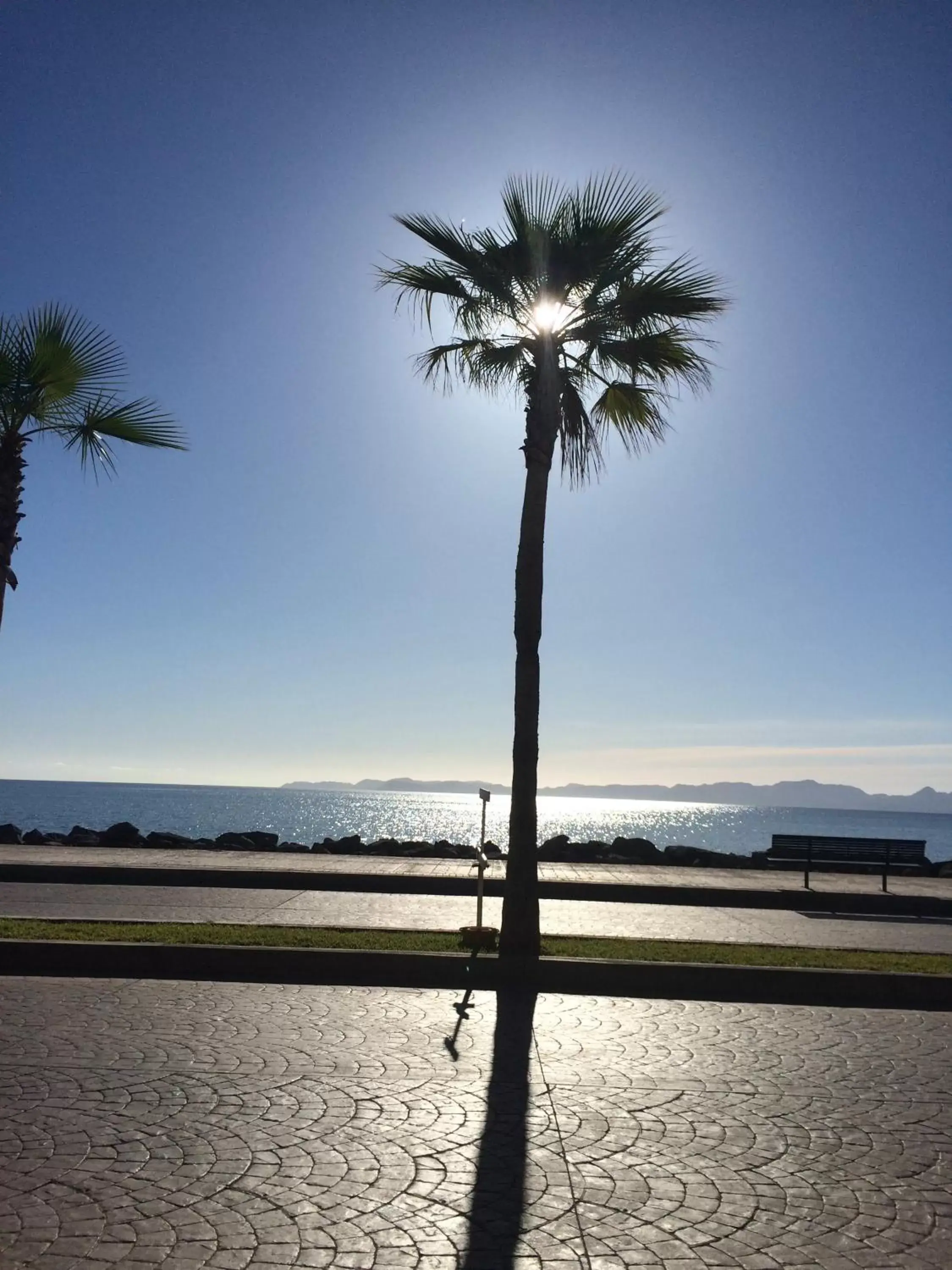 Sea view, Beach in Hotel 1697 Loreto