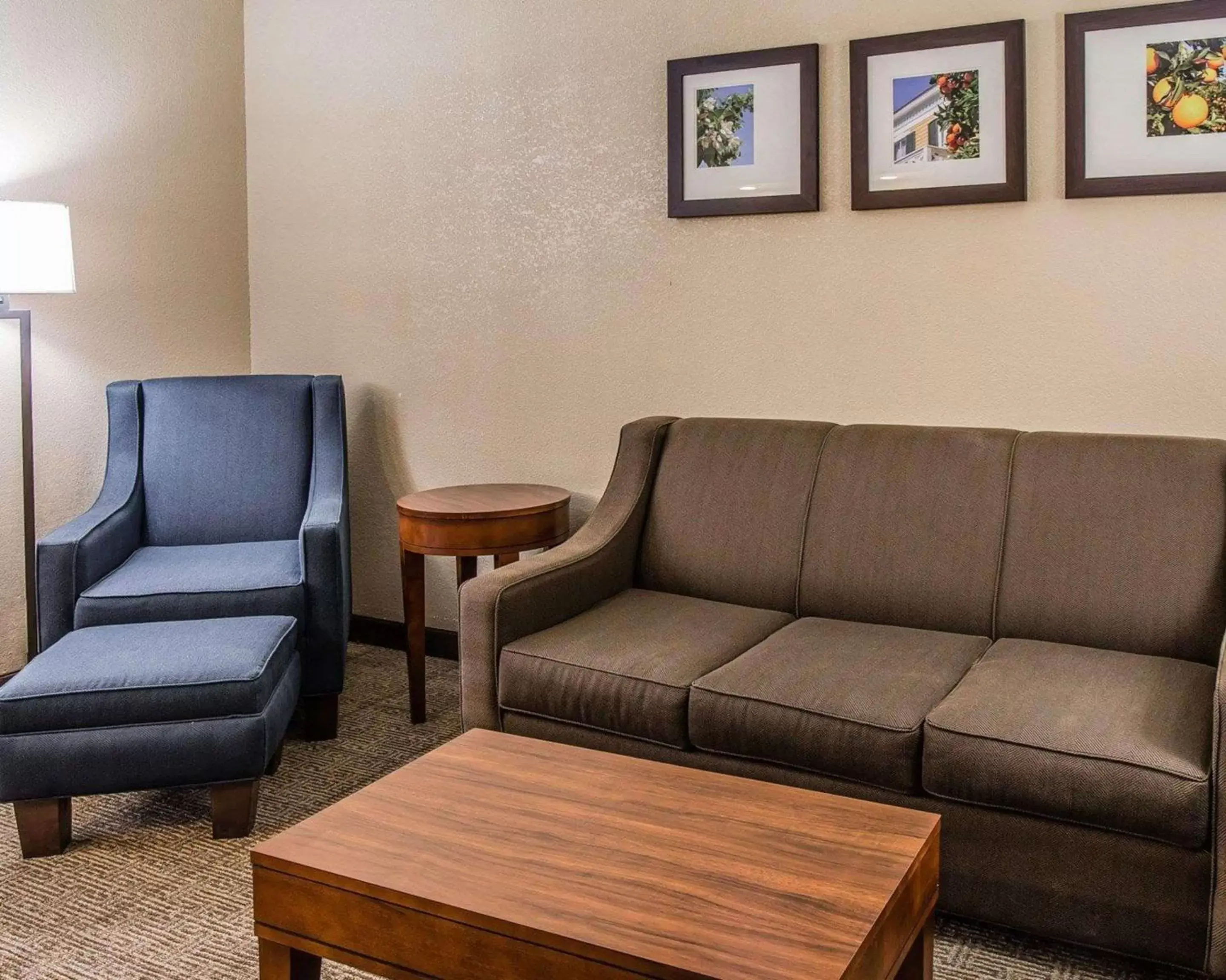 Photo of the whole room, Seating Area in Comfort Inn & Suites Lakeland North I-4