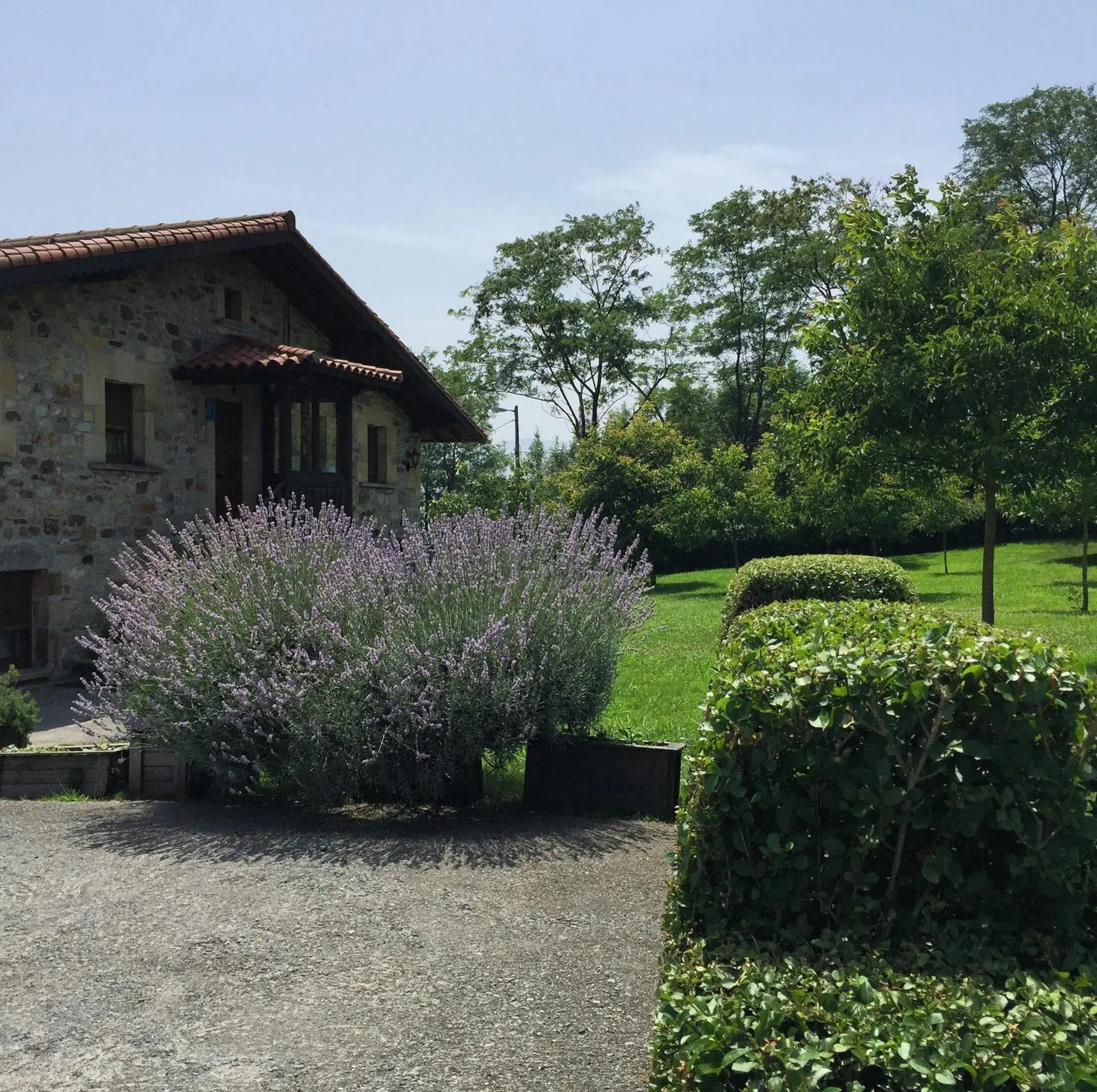 Property building in Hotel Artetxe