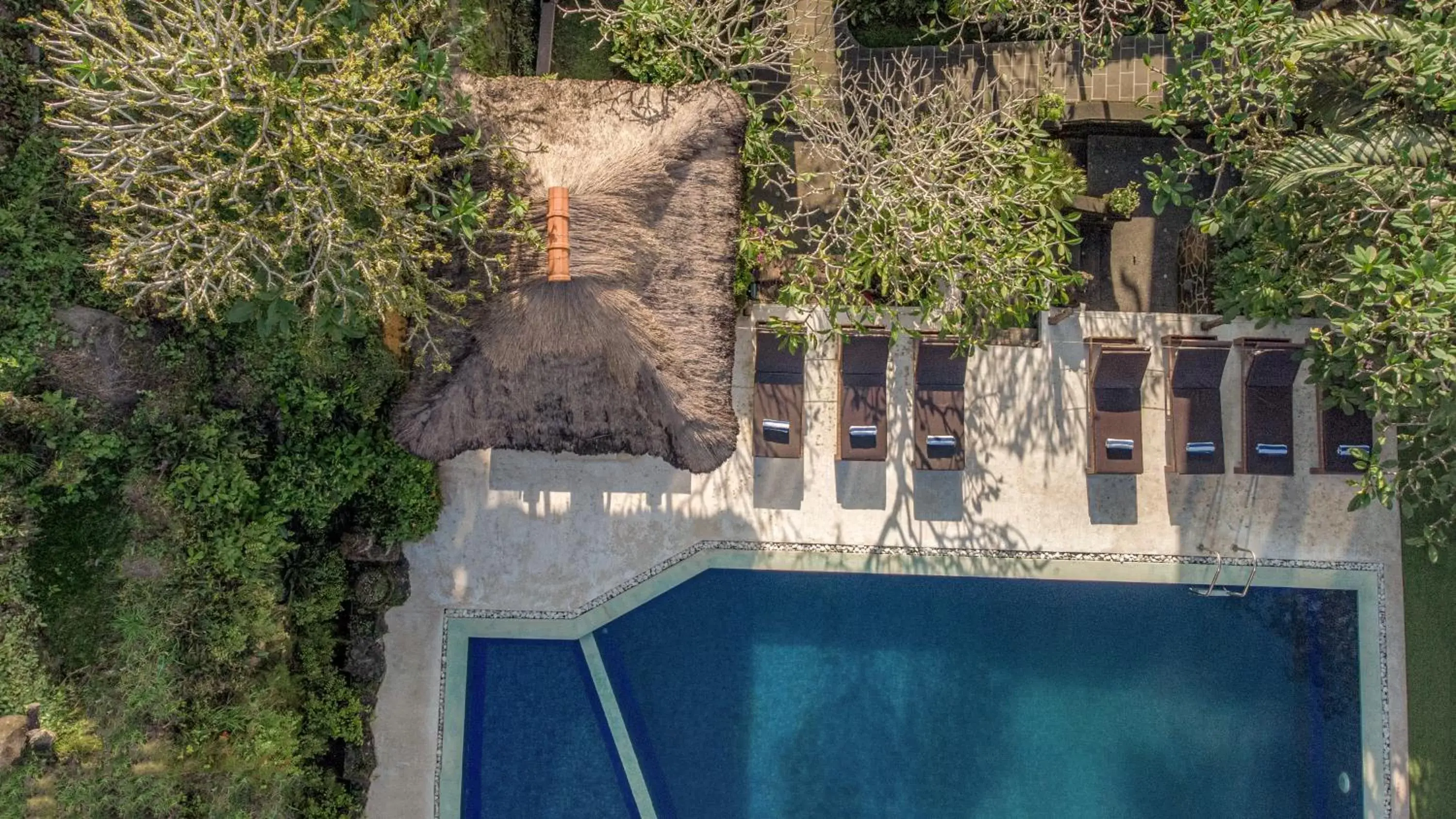 View (from property/room), Pool View in Artini 2 Cottage Ubud