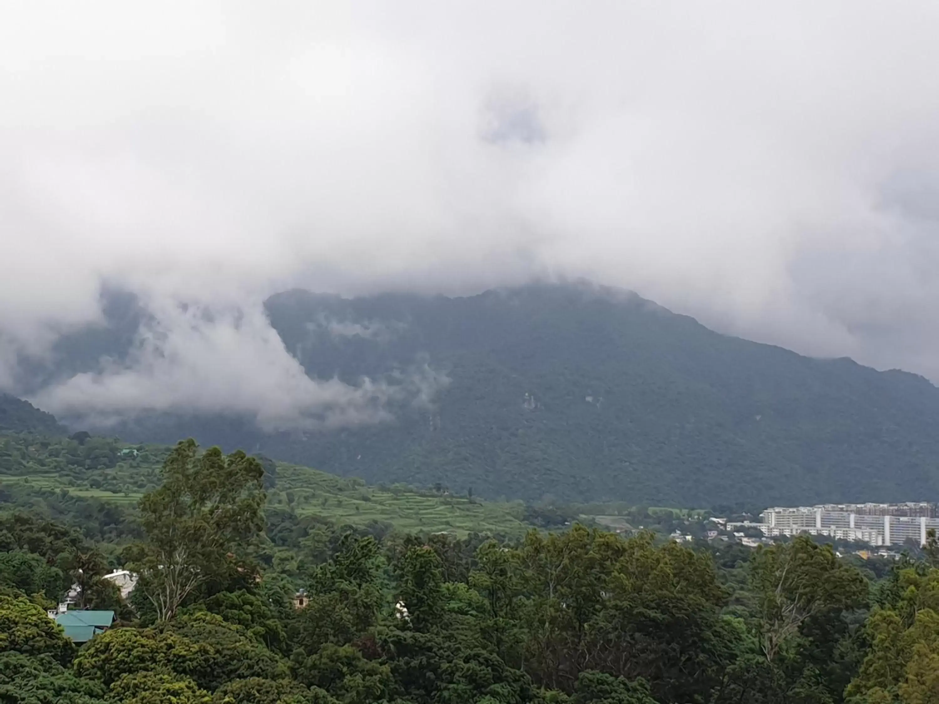 Natural landscape, Mountain View in Hotel Rajpur Heights