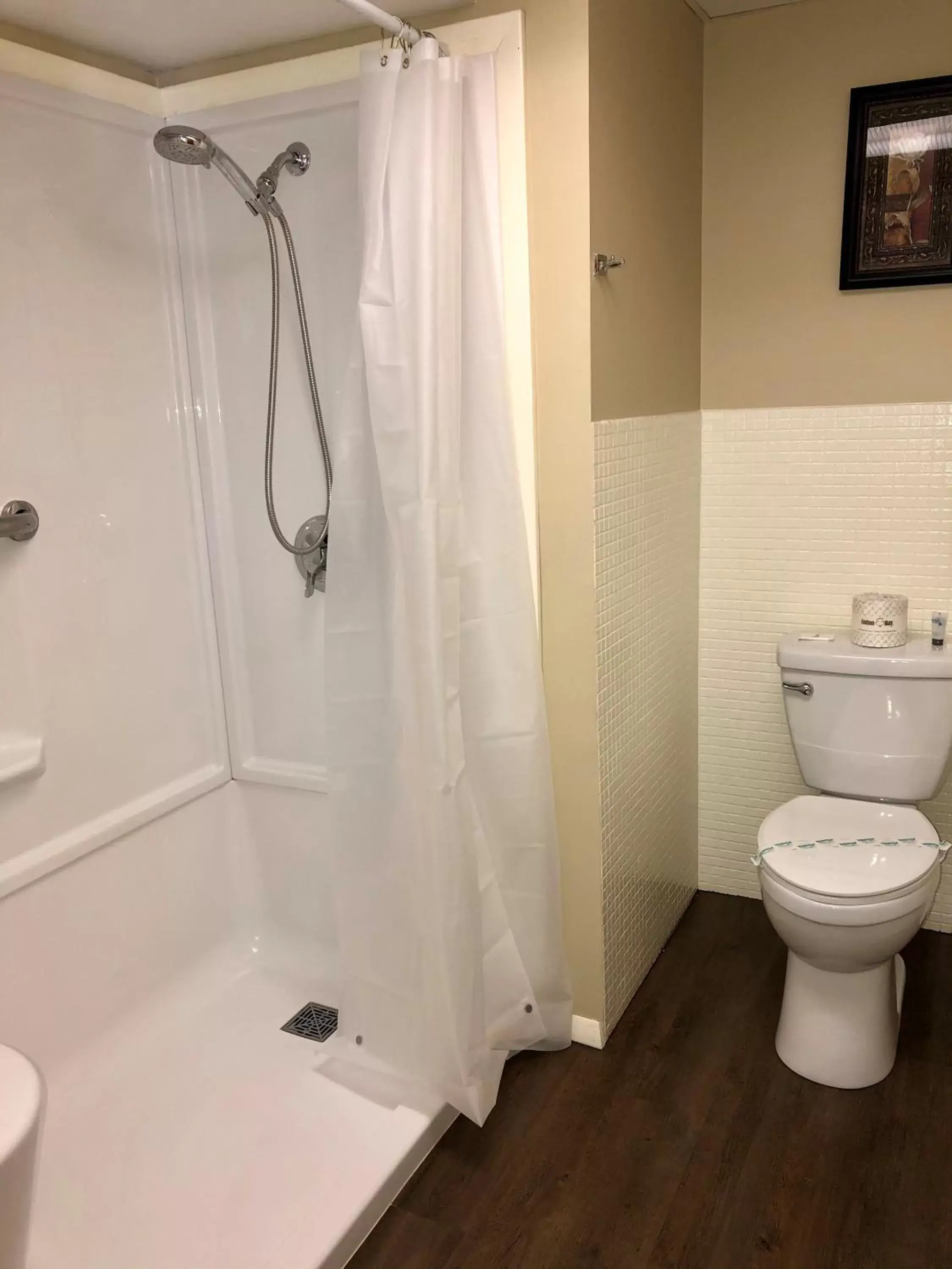 Bathroom in Budget Host Inn