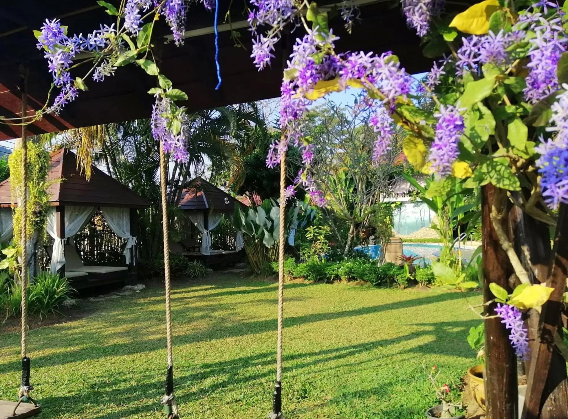 Children play ground in Homestay Chiangrai