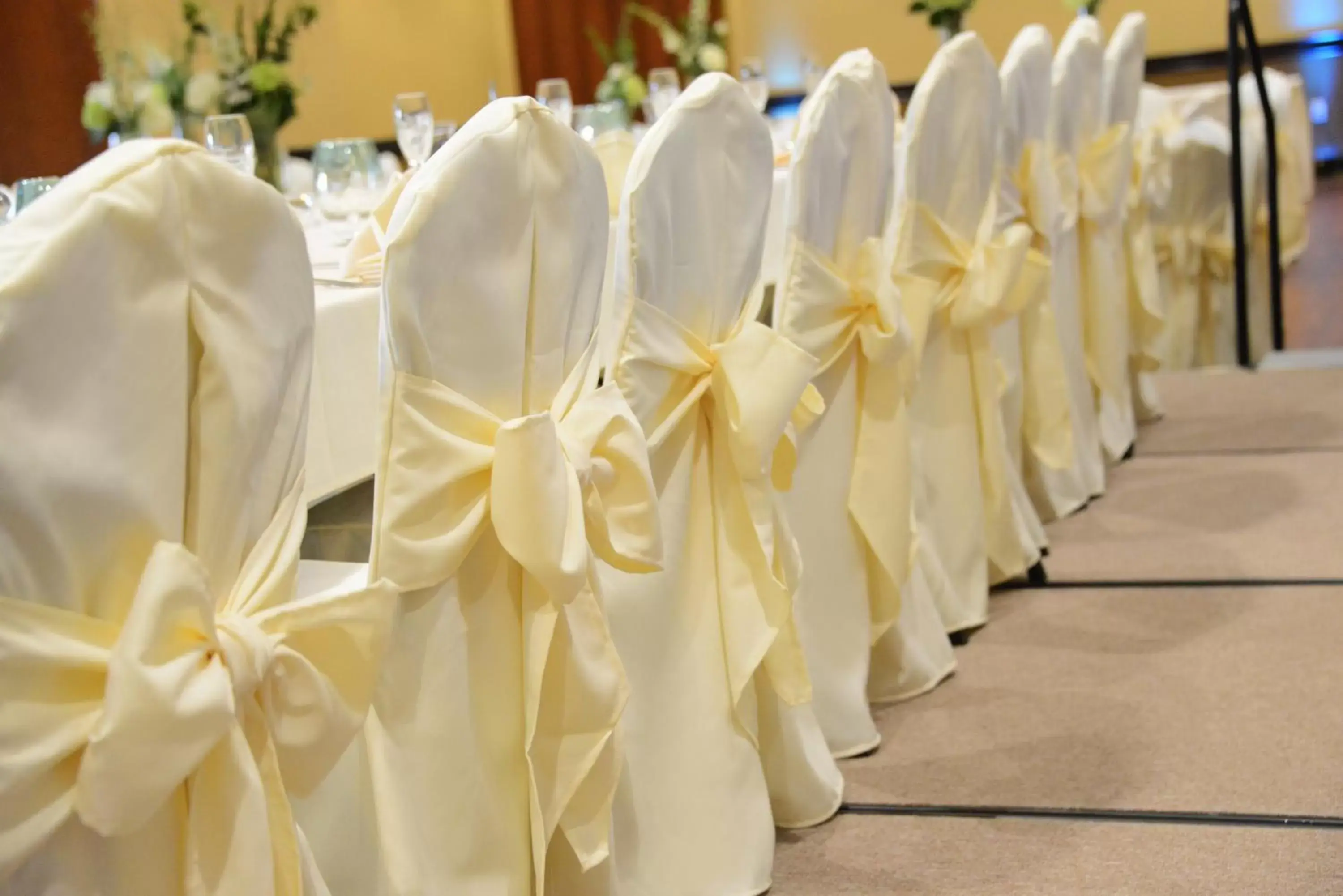 Banquet/Function facilities, Banquet Facilities in Holiday Inn Eau Claire South, an IHG Hotel