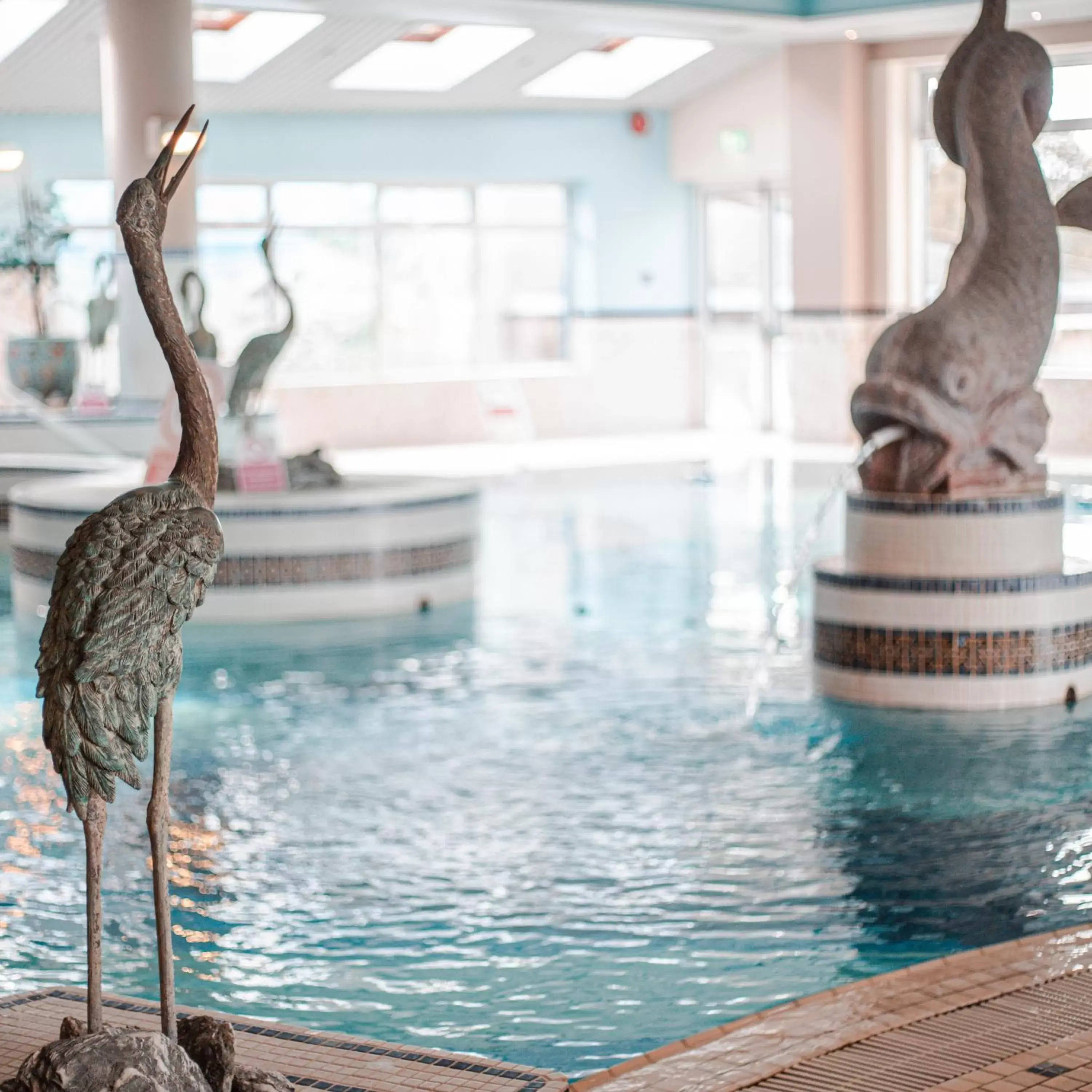 Swimming Pool in Westlodge Hotel & Leisure Centre